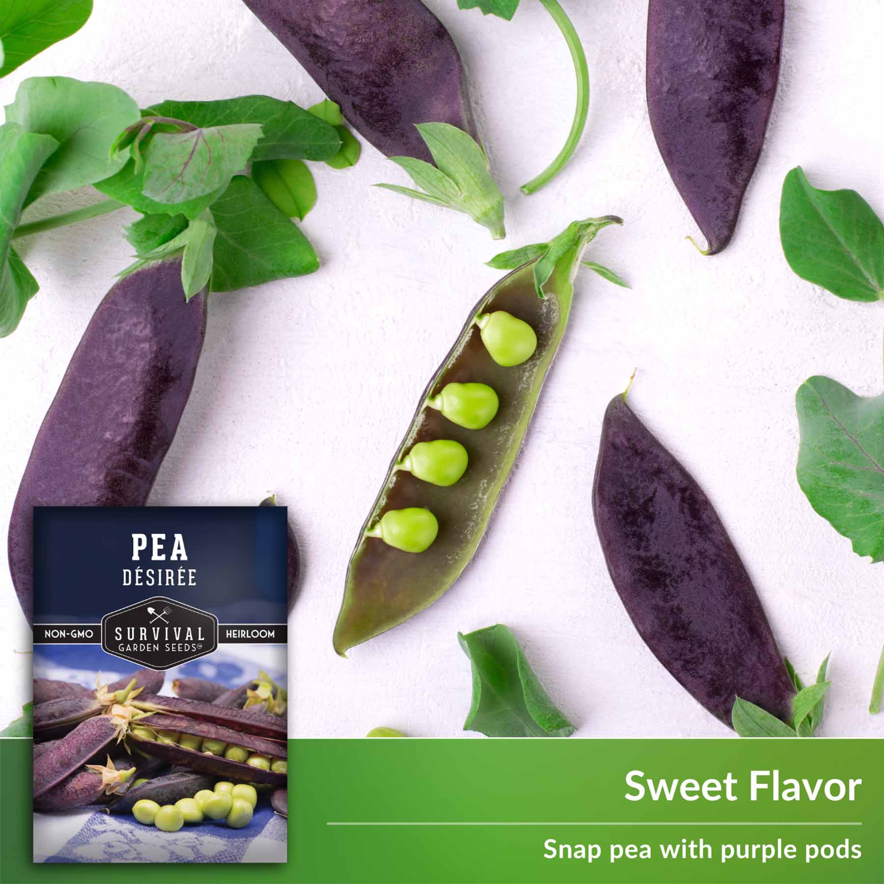 Organic Désirée Purple Pod Pea Seeds - Non-GMO Heirloom Garden Seeds for Planting, Fresh Eating & Canning - Perfect for Home Gardens, Urban Farming & Sustainable Agriculture