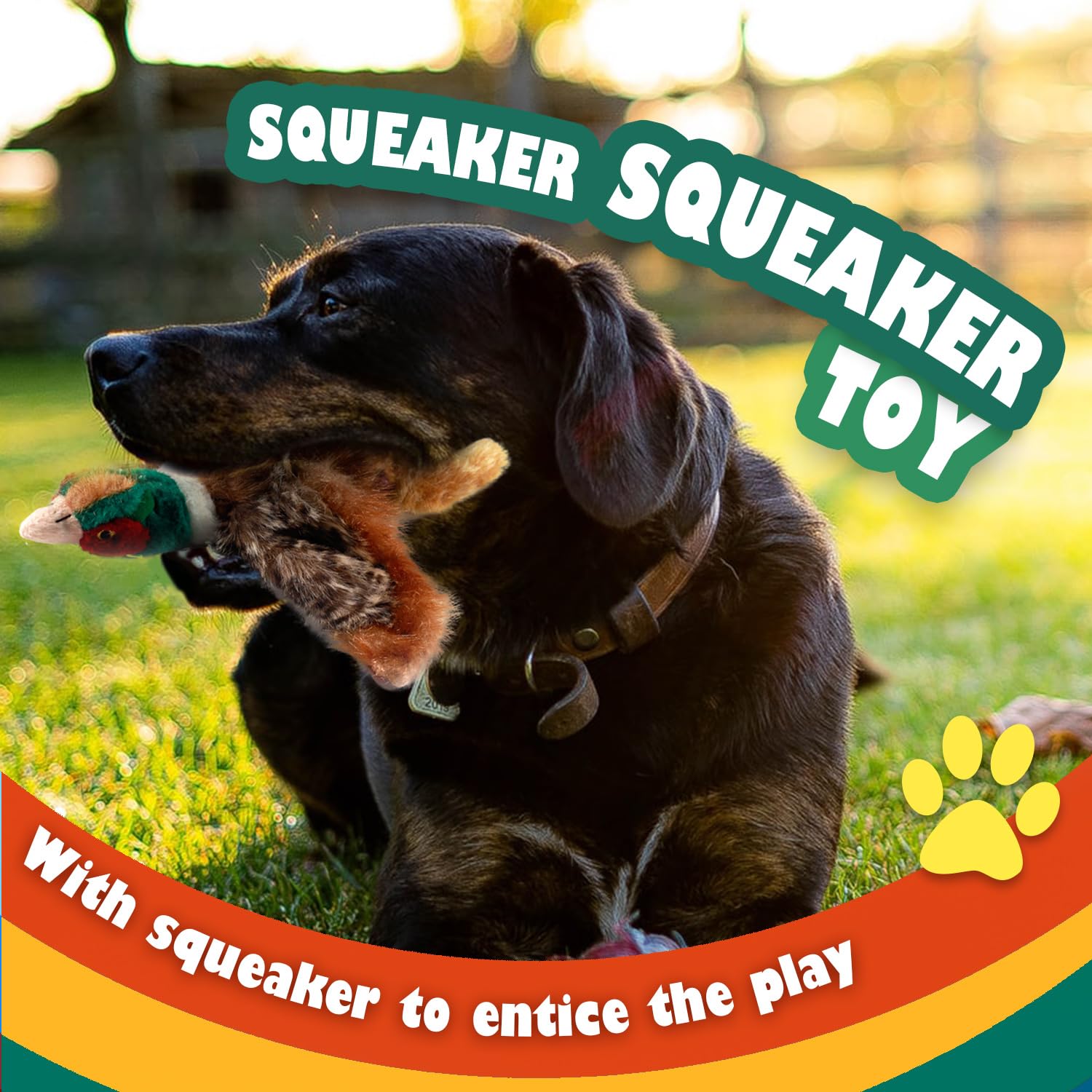 ALL FOR PAWS Classic Pheasant Dog Toys for Small Breeds - Interactive Chew Toy for Teething Puppies & Indoor Playtime