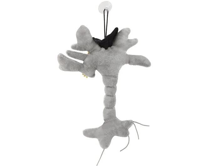 GIANTmicrobes Graduation Brain Cell Plush Toy - Class of 2025 Graduation Gift for Nurses, Medical Students & Science Lovers | Cute Stuffed Animal for Graduation Parties, Office Decor & College Dorm