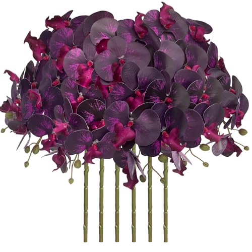Dark Purple