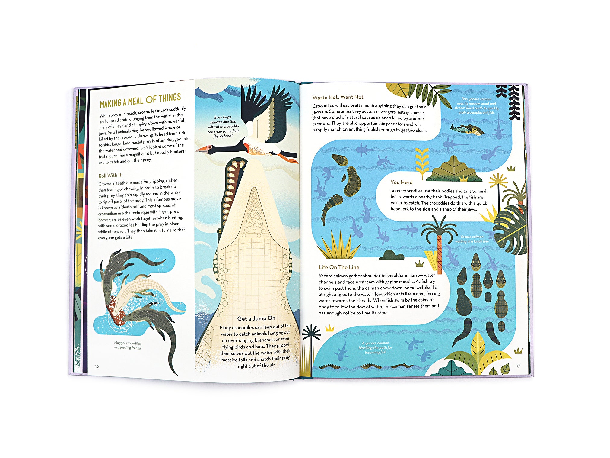 Curious About Crocodiles: Illustrated Animal Book for Kids by Owen Davey - Perfect for Bedtime Stories & Wildlife Education