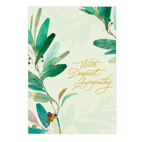 Hallmark Business Bulk Sympathy Cards - Peaceful Plants Design (Pack of 100 Greeting Cards) | Perfect for Funeral Homes, Hospitals & Corporate Condolences