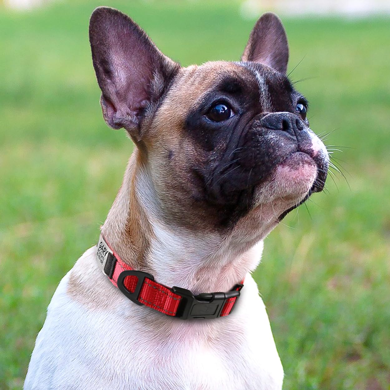 Joytale Personalized Dog Collars - Reflective Nylon Pet Collar with Engraved Name Plate | Custom Small Dog Collar in Red Size S | Perfect for Night Walks & Pet Safety