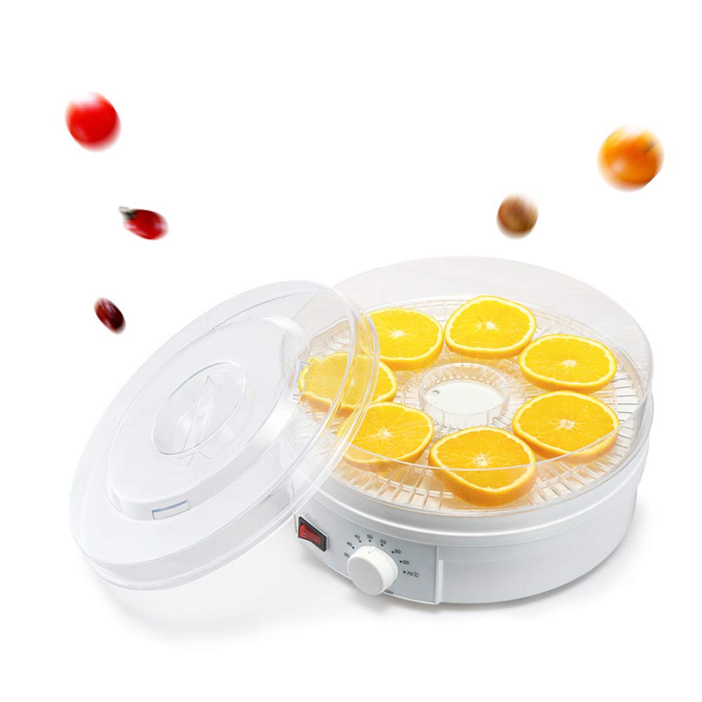 110V AnEssOil Food Dehydrator - Stainless Steel Electric Drying Machine for Fruits, Vegetables, Herbs & Meat | Healthy Snacks Maker for Home, Camping & Food Preservation