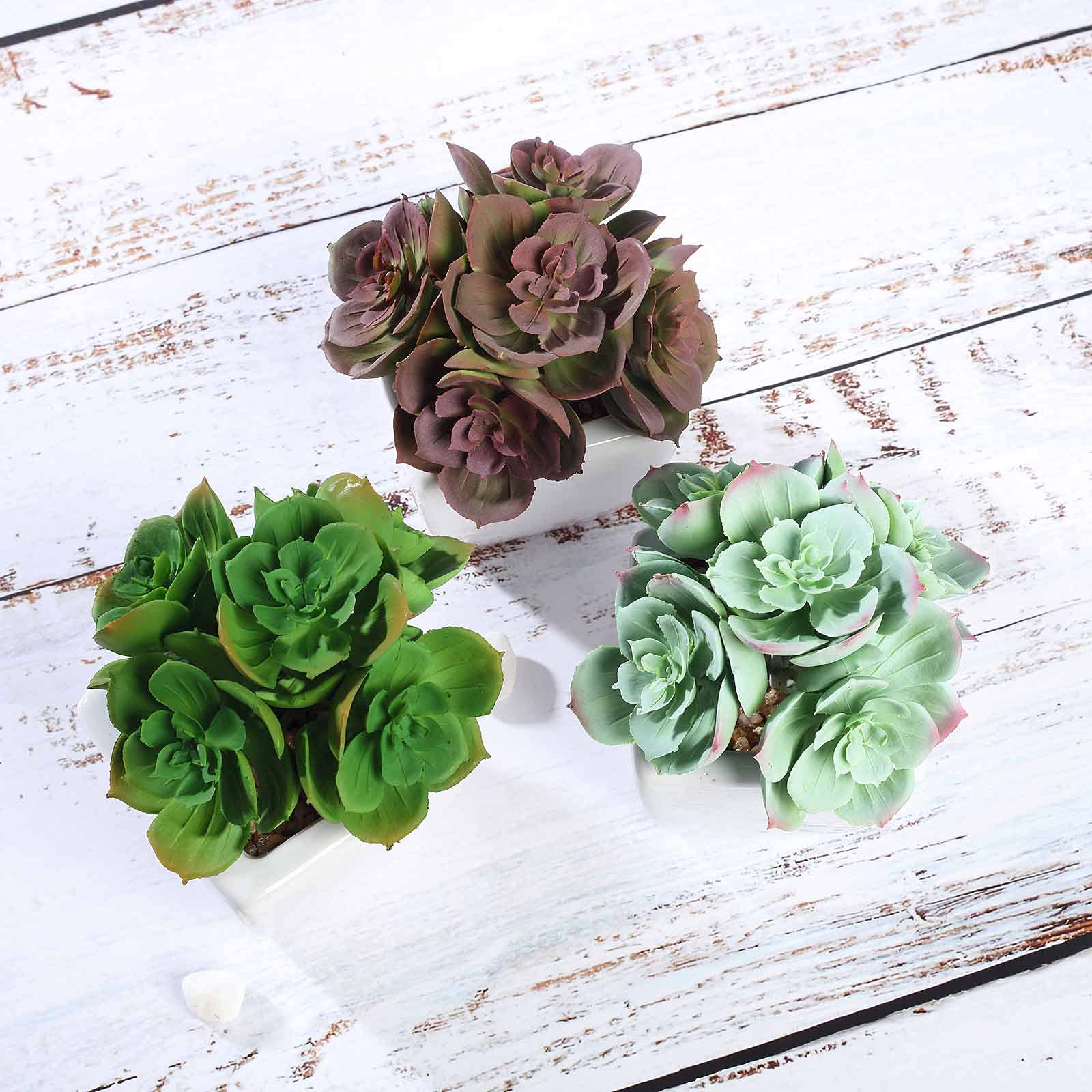 3 Pack Artificial Succulent Plants Set - Fake Echeveria Elegans in Ceramic Pots for Home Office Desk Decor | Realistic Faux Succulents for Indoor Plant Decor, Wedding Centerpieces & Shelf Displays