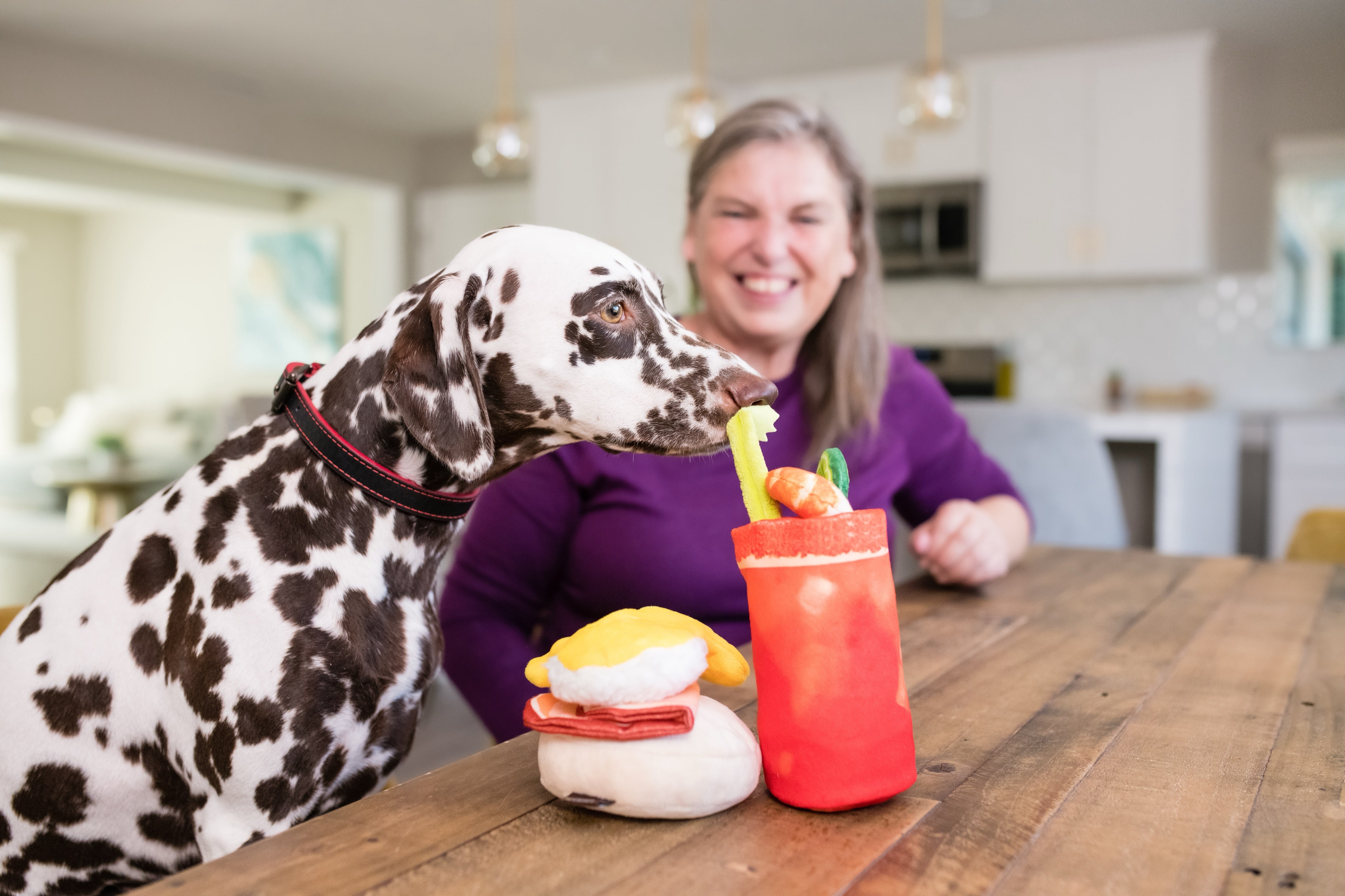 El Egg Benedict Plush Dog Toy - Barking Brunch™ Collection by Pet P.L.A.Y. | Soft & Durable Chew Toy for Small & Medium Dogs | Perfect for Playtime, Training & Cuddling