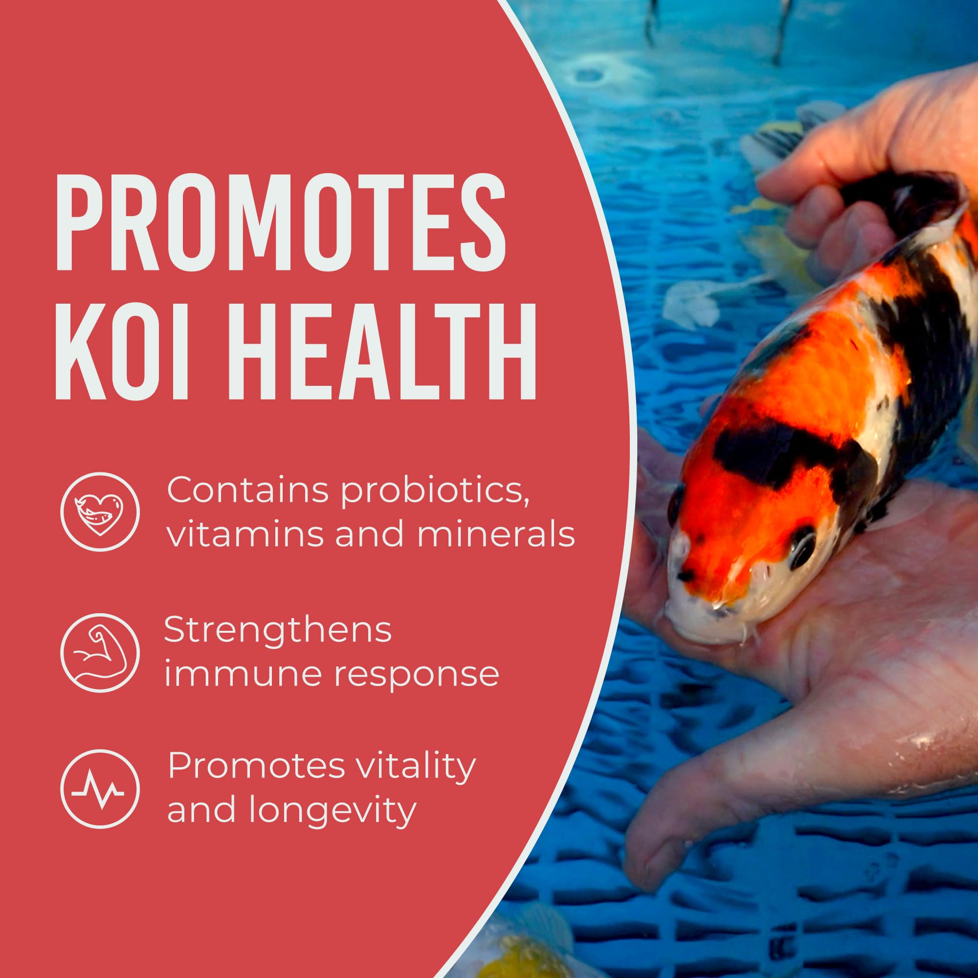 Premium Blue Ridge Koi Fish Food 50lb - Floating Pellets for Ponds & Goldfish