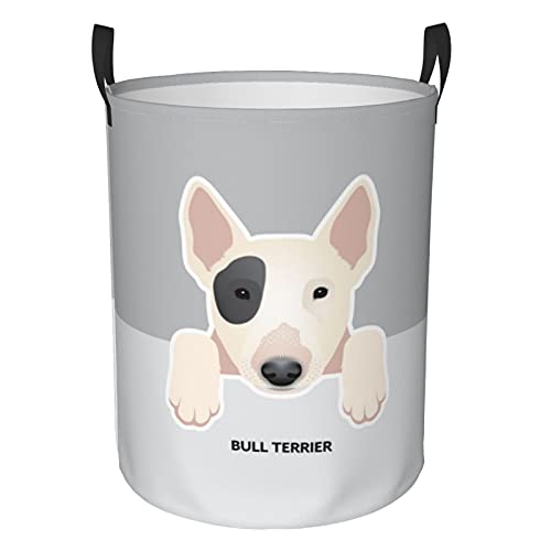 Bull Terrier