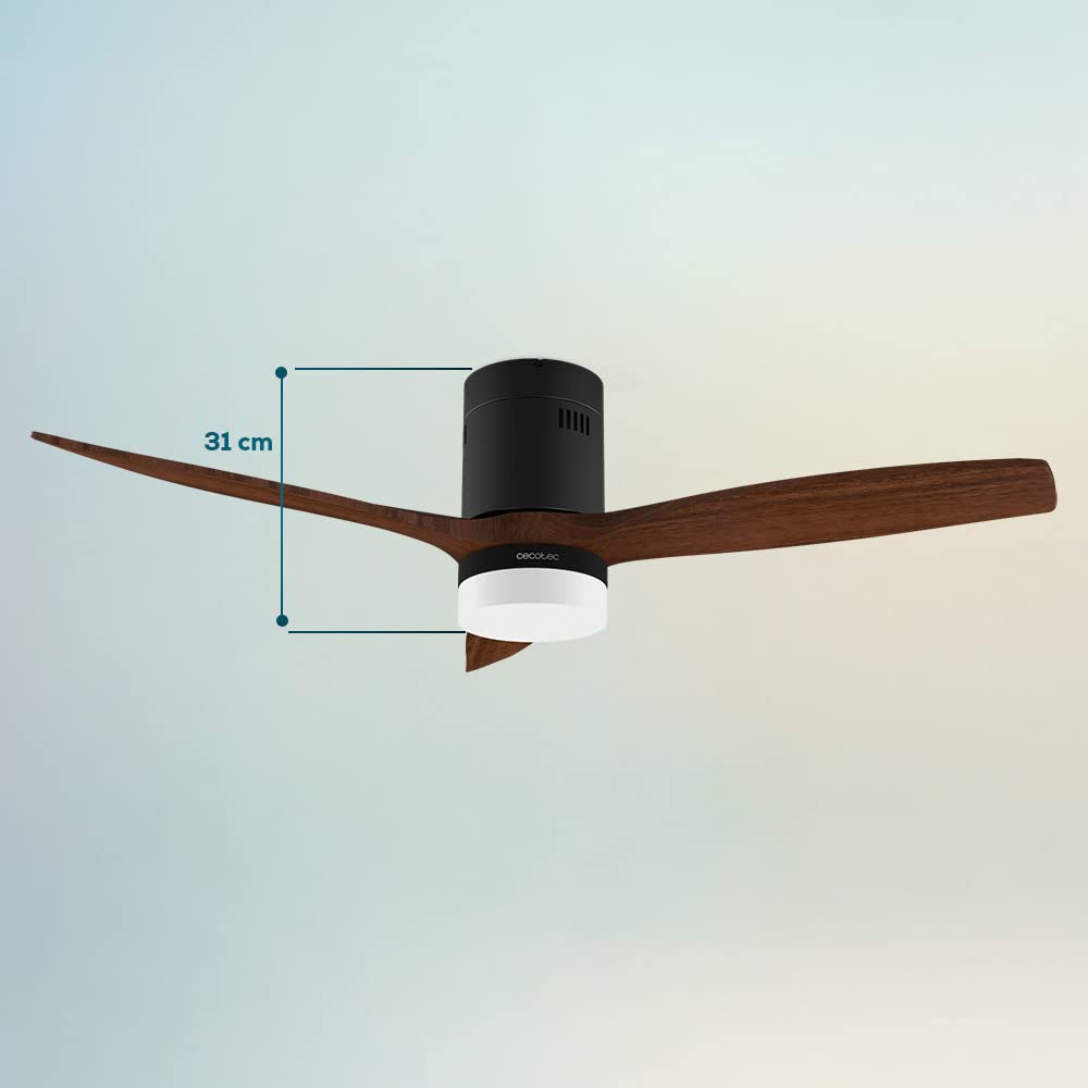 Cecotec 52