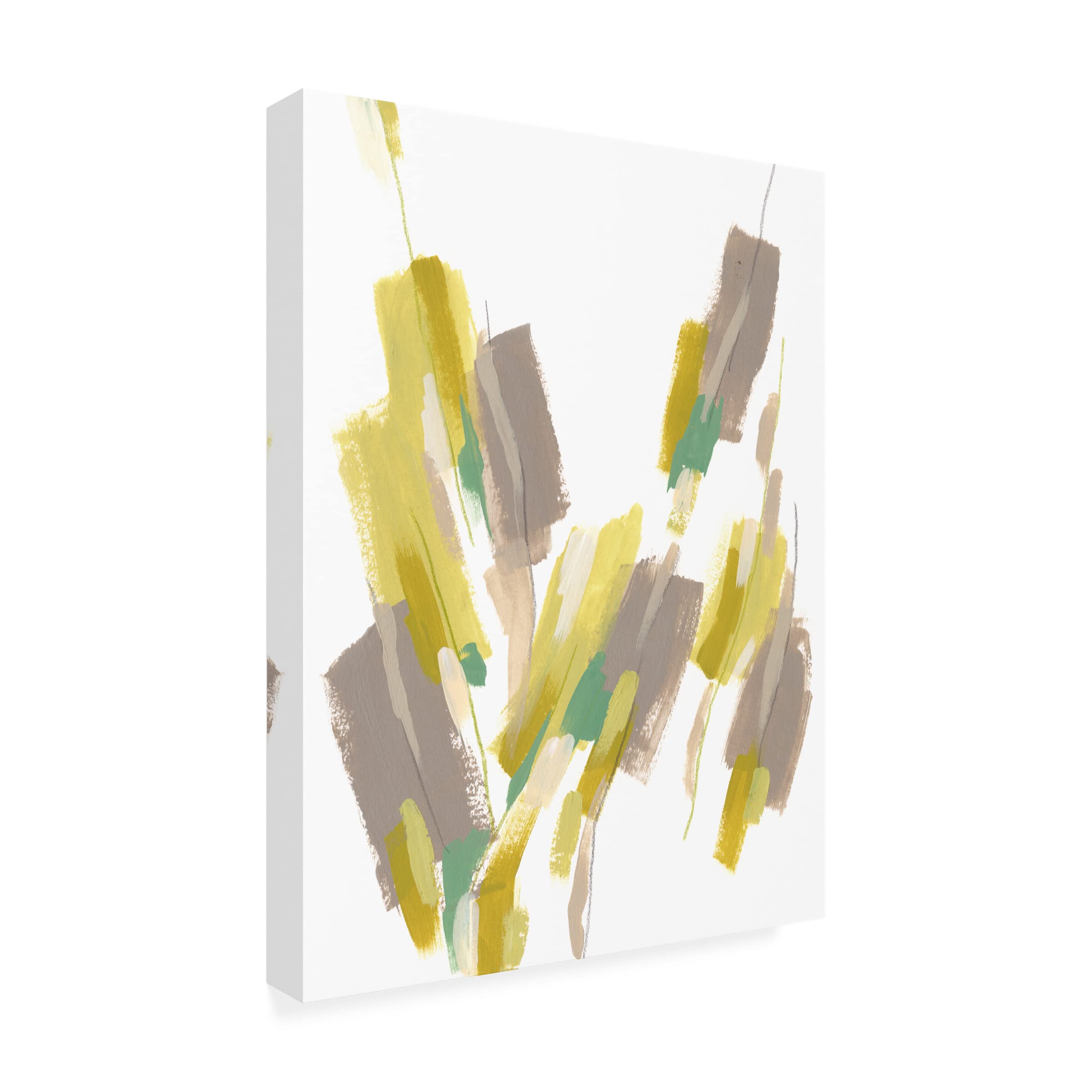 Trademark Fine Art 'Fractal Cascade II' Abstract Canvas Wall Art Print by June Erica Vess - Modern Home & Office Decor for Living Room, Bedroom or Workspace