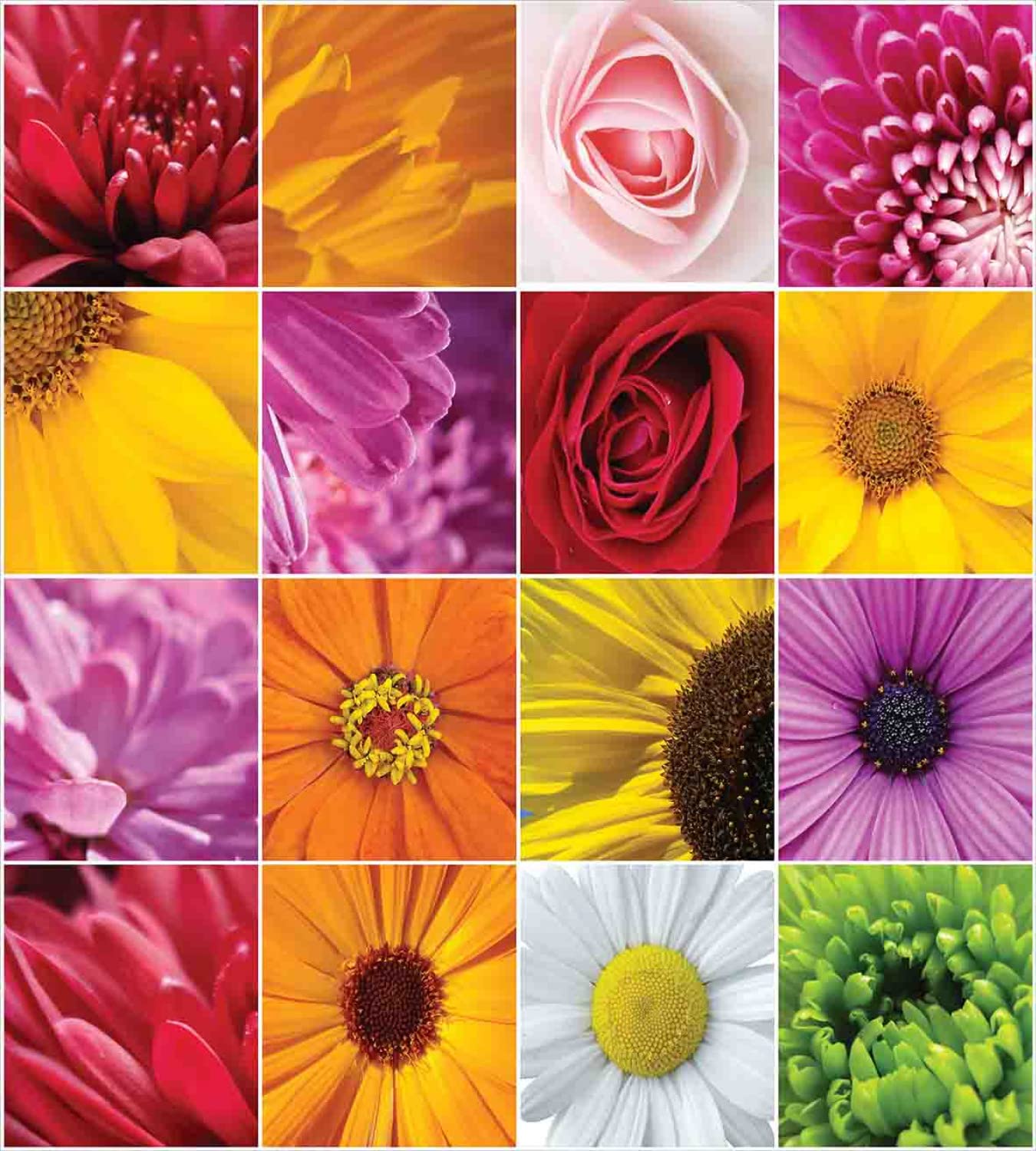 Ambesonne Floral Duvet Cover Set - Queen Size 2-Pack with 2 Duvet Covers & 4 Pillowcases | Vibrant Chrysanthemum Rose Sunflower Violet Floral Pattern in Orange Yellow Pink | Romantic Bridal Bedding for Master Bedroom, Guest Room & Home Decor