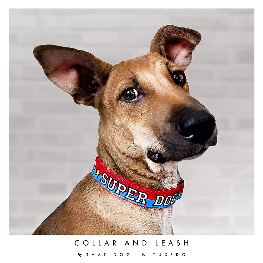 Superdog Collar for Dogs - Adjustable Strong Tuxedo Style (Blue/Red, XL) for Walks & Training