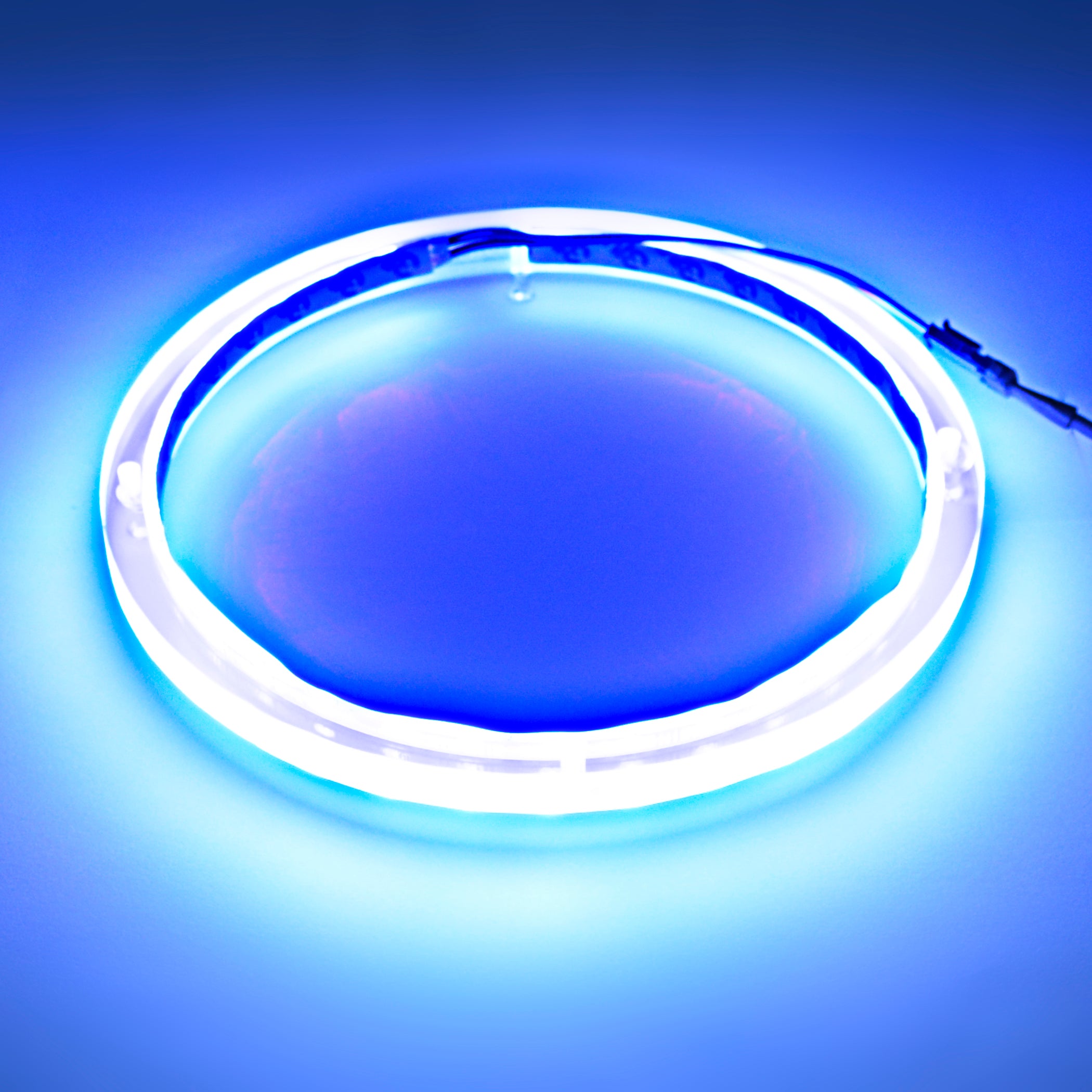 10 Pack RGB LED Speaker Rings - Colorful Lighting for DJ, Gaming & Home Audio (NL RIAPMP 10RGB) - Perfect for Parties, Concerts & PC Setups