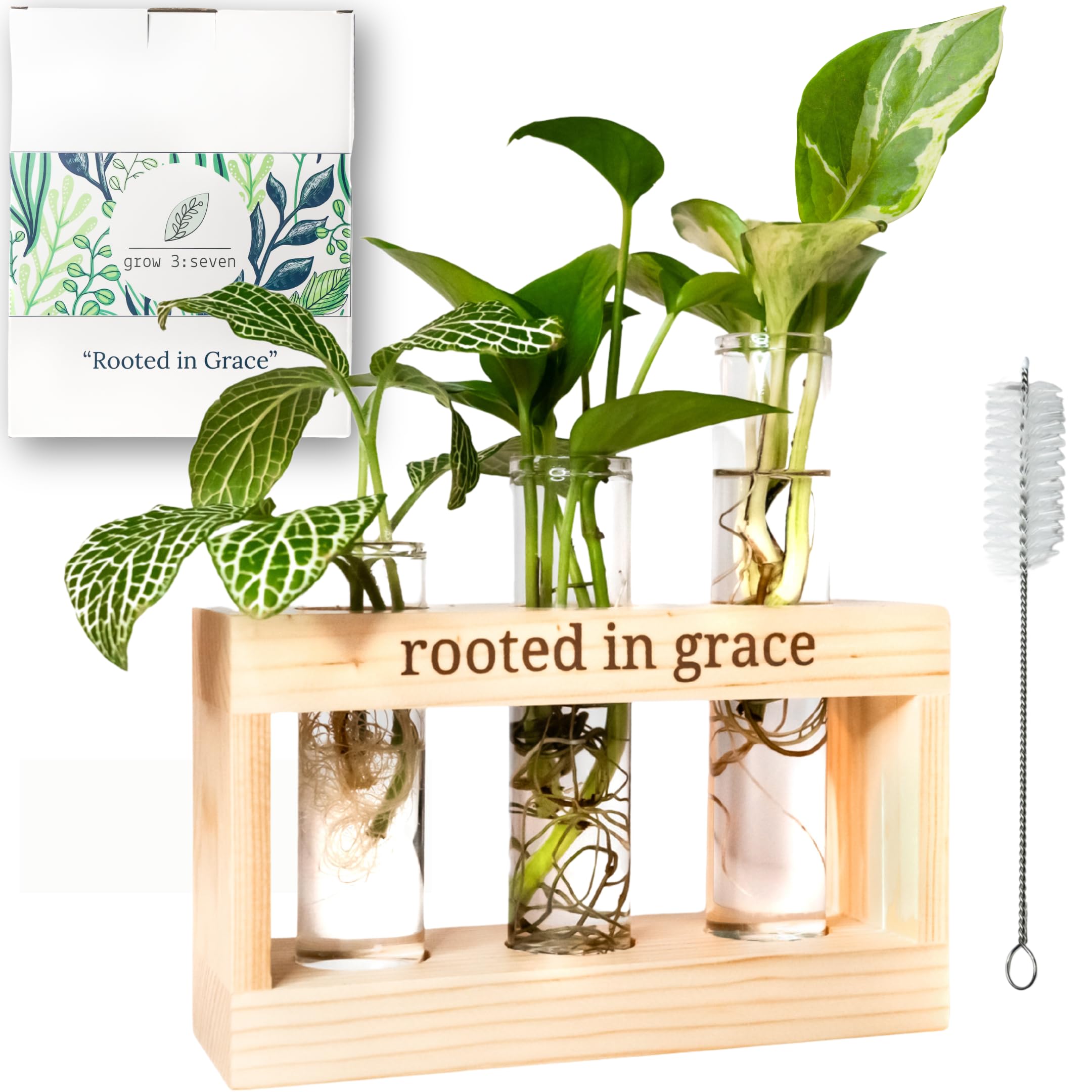 Rooted in Grace: Plant Propagation Station with Glass Vases - Unique Christian Gift Set for Women & Moms, Indoor Planter & Home Decor for Faith-Inspired Living Rooms, Kitchens, or Office Spaces