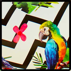 Tropical Parrot