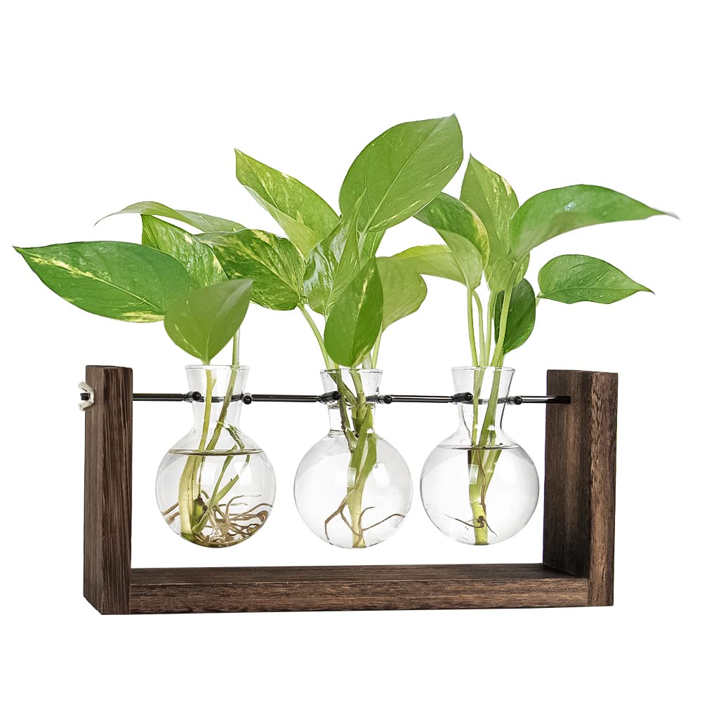 KAXYEW Modern Glass Plant Terrarium with Wood Stand - Wall Hanging & Tabletop Propagation Station for Hydroponic Plants | Includes 3 Bulbs | Perfect for Home Office Decor, Indoor Gardening & Plant Lovers