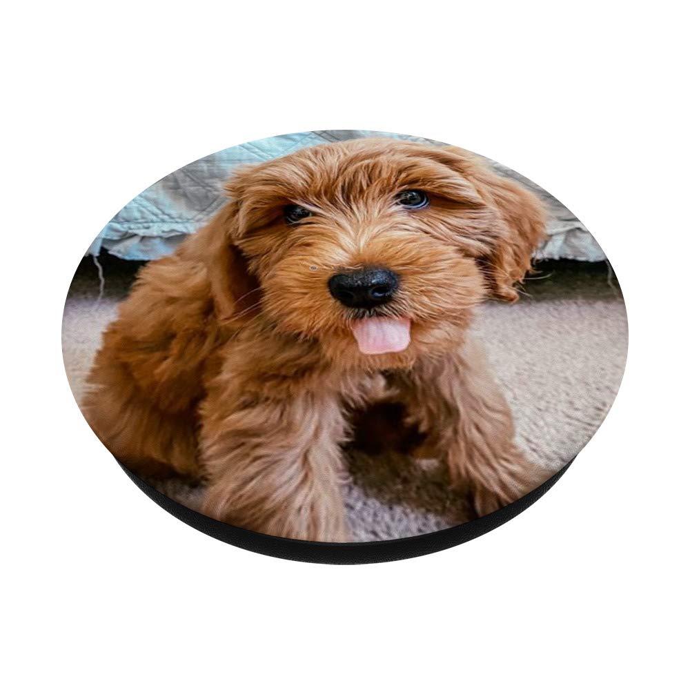Waffle the Goldendoodle Puppy PopSockets PopGrip - Interchangeable Phone & Tablet Grip for iPhone, Samsung | Cute Dog Accessory for Pet Lovers, Perfect for Selfies, Travel & Everyday Use