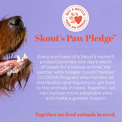 Skout's Honor Flea and Tick Shampoo for Dogs - 16oz Natural Flea Treatment | Kills Fleas, Ticks & Larvae | Safe for Puppies & Adult Dogs | Perfect for Bath Time & Outdoor Adventures
