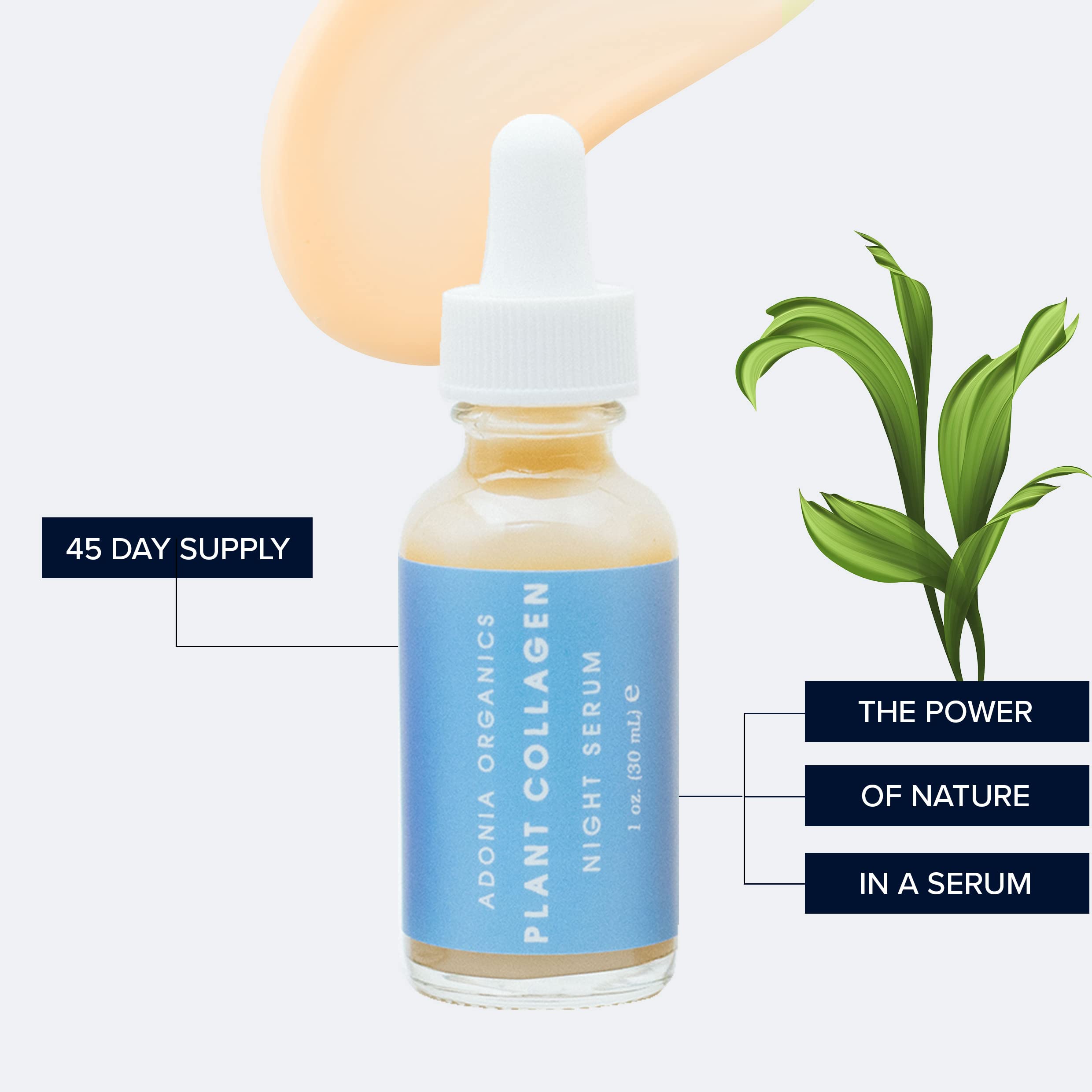 Best Plant Collagen Night Serum for Anti-Aging & Skin Rejuvenation - Hydrating Facial Treatment for Wrinkles & Fine Lines - Perfect for Nighttime Skincare Routine
