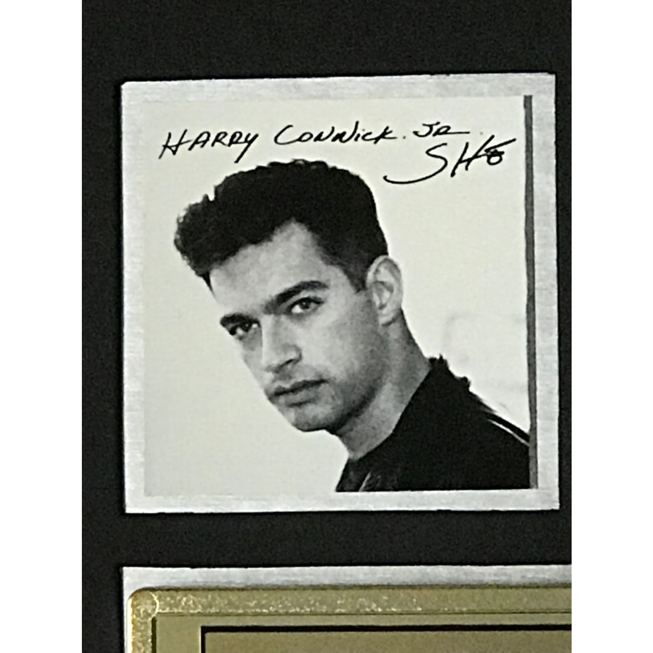 Harry Connick Jr. She RIAA Gold Album Award - Certified Music Collectible for Fans & Display - Perfect for Home Decor, Music Memorabilia Collections & Gift Giving