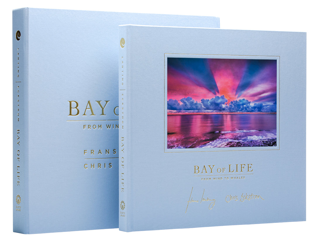 Bay of Life Collector's Edition - Limited Edition Collectible for Fans & Enthusiasts - Perfect for Display, Gifting, and Home Decor