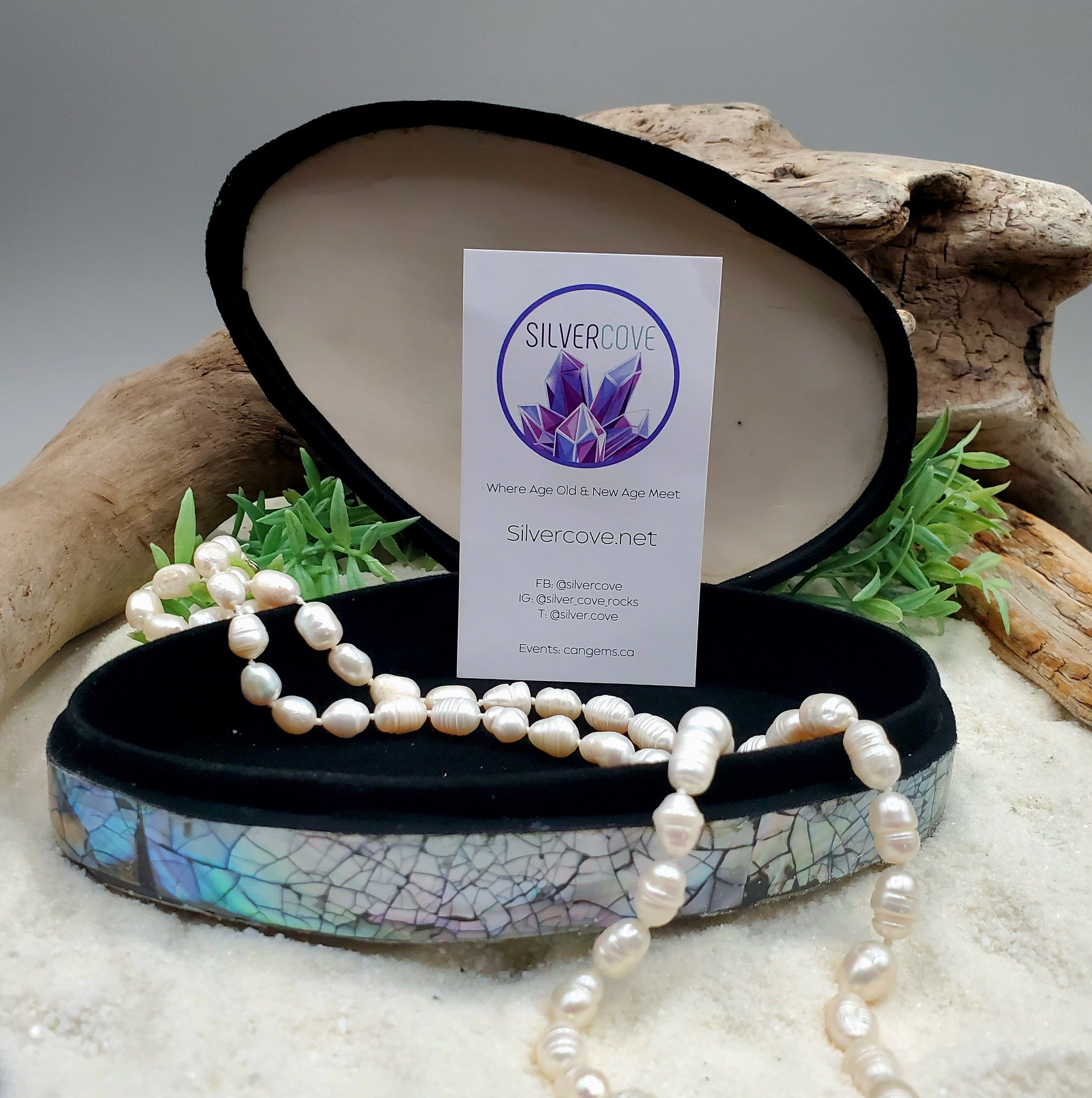 Handcrafted Abalone Shell Trinket Box - Natural Mother of Pearl Jewelry Storage - Perfect for Rings, Earrings & Small Keepsakes - Boho Home Decor & Gift Idea