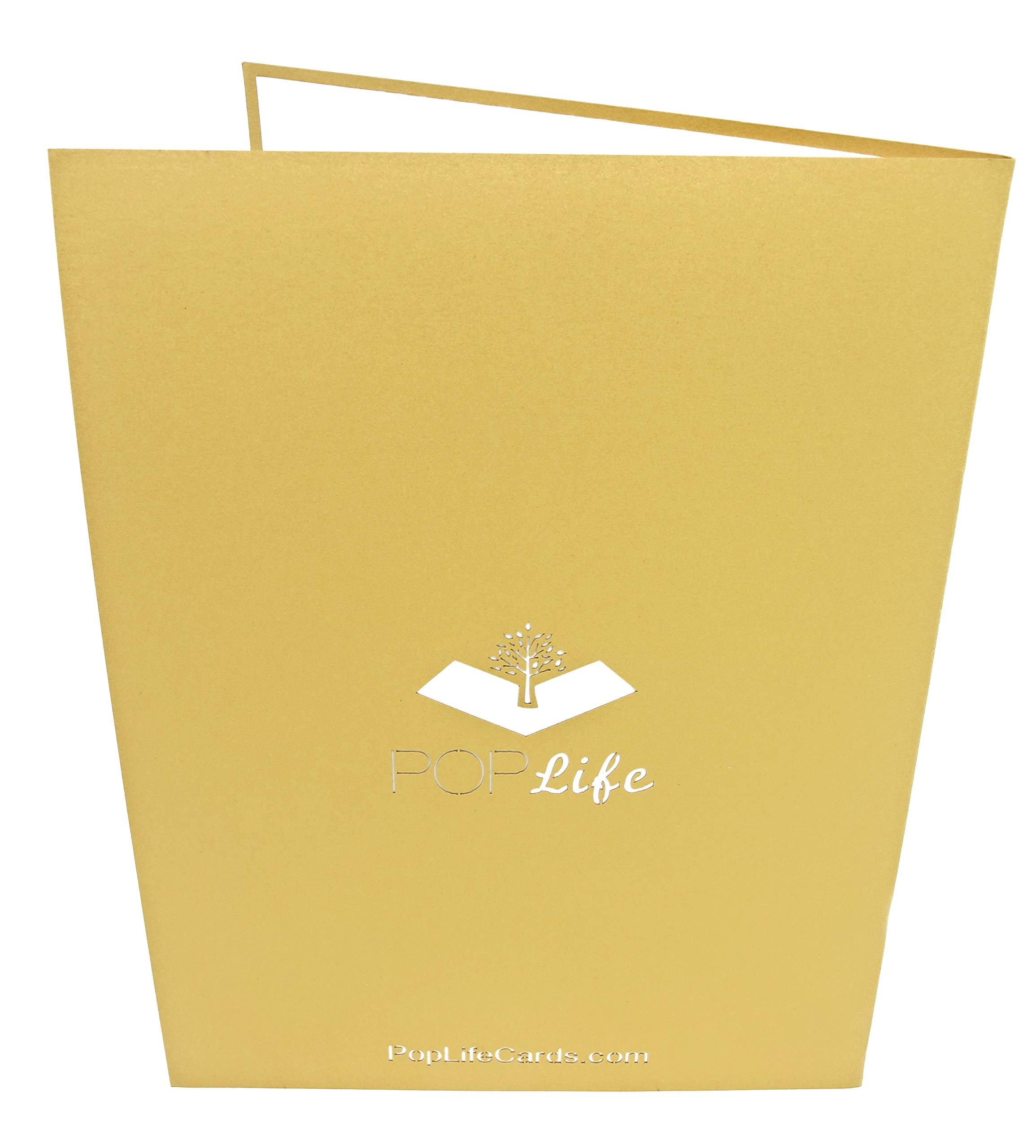 PopLife® Beehive and Honeypot 3D Pop-Up Greeting Card - Perfect for Mother's Day, Anniversary, Birthday Gifts | Thoughtful Present for Wife, Husband, Daughter, Son & Grandkids | Ideal for Romantic Surprises & Family Celebrations