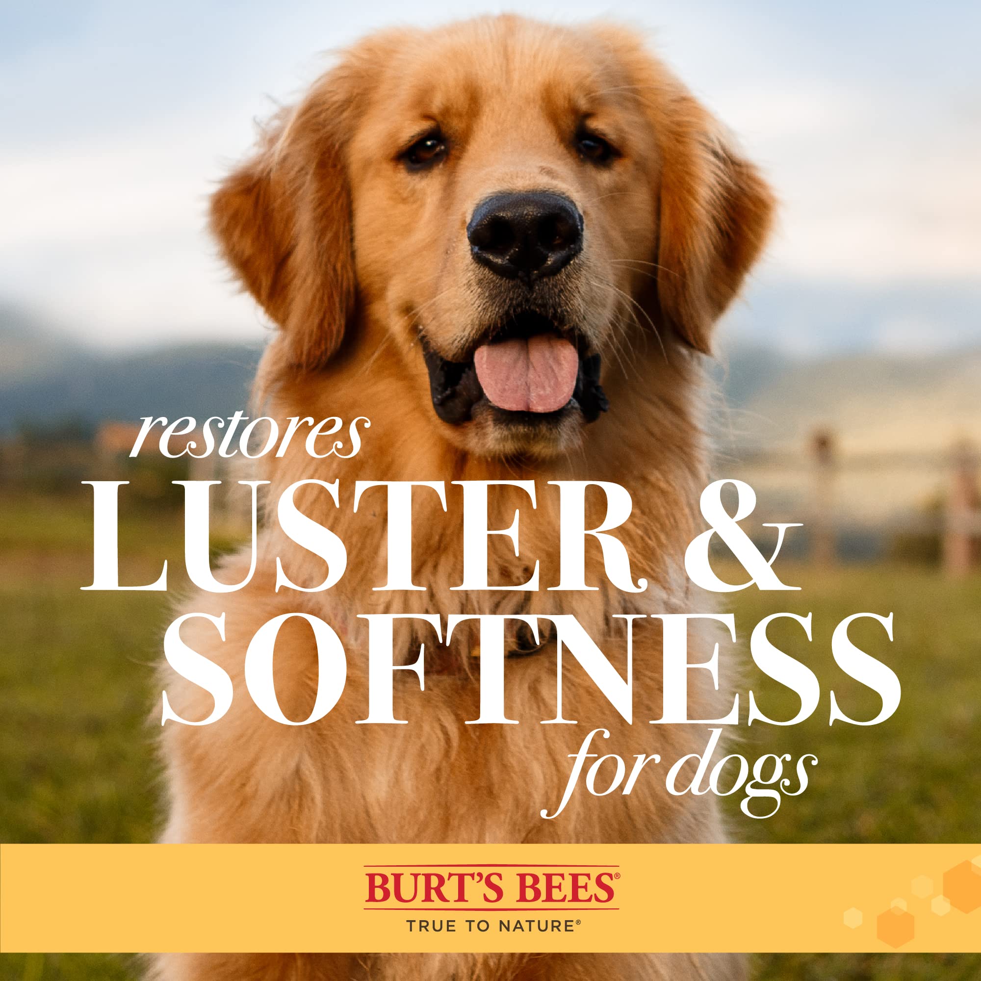 Burt's Bees for Pets Palm Brush with Hemp Bristles - Best Ergonomic Dog Brush for Large Breeds | Comfortable Grip Reduces Wrist Strain | 24-Pack for Daily Grooming & Shedding Control | Perfect for Home Pet Care & Professional Groomers