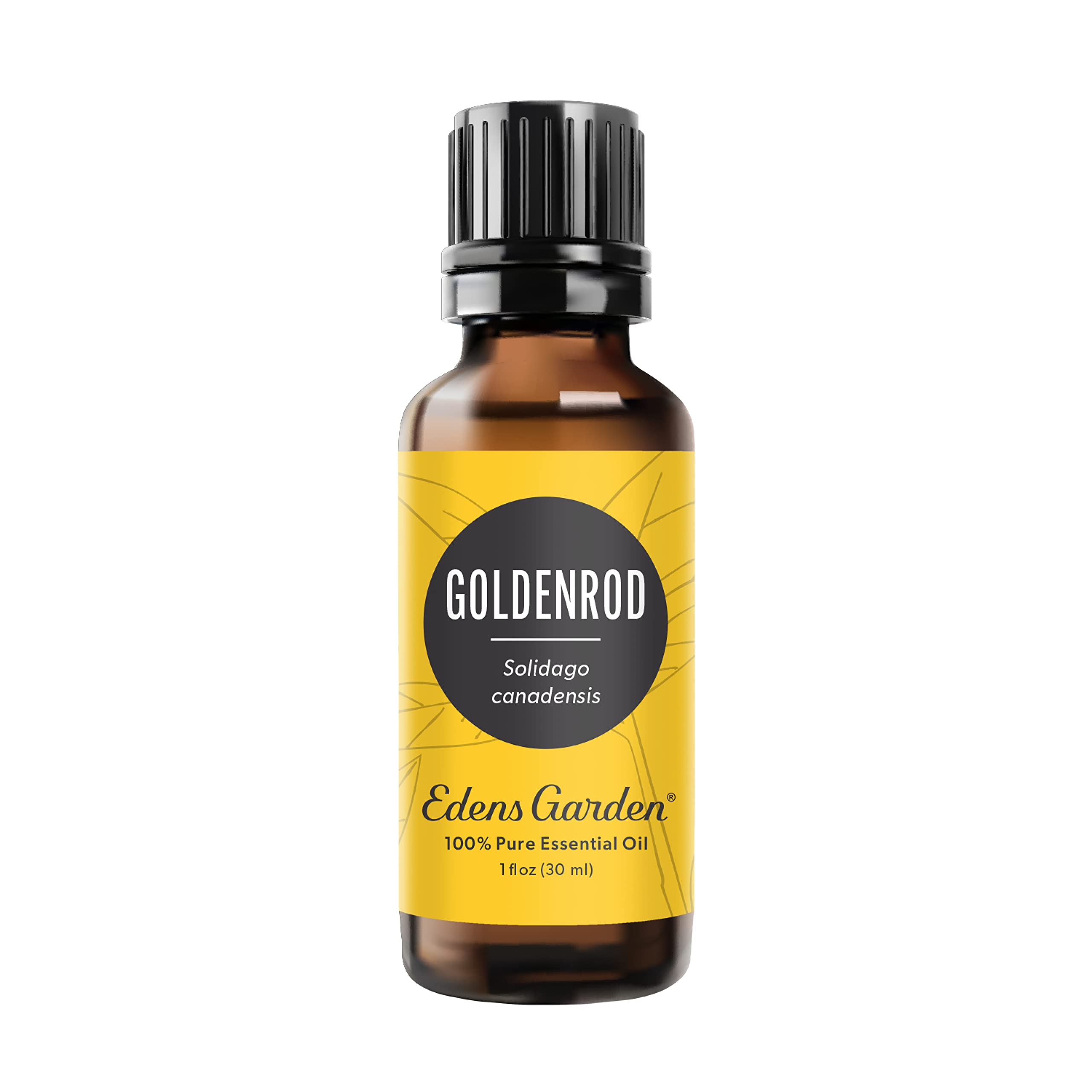 Edens Garden Goldenrod Essential Oil - 100% Pure Therapeutic Grade, Undiluted Natural Aromatherapy Oil for Diffusers, Skin Care & Humidifiers - 30ml (1 fl oz) - Perfect for Relaxation, Stress Relief & Home Spa