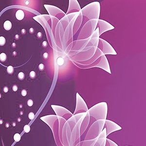 Purple Flowers