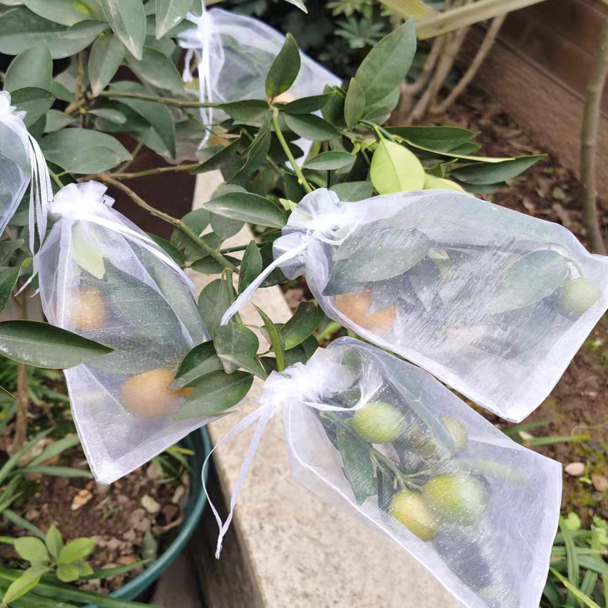 100 Pcs 8x12 Inch Organza Fruit Protection Bags with Drawstring - Breathable Mesh Barrier for Garden Plants, Fruit Trees & Vine Crops | Prevent Pests & Birds While Allowing Sunlight & Airflow