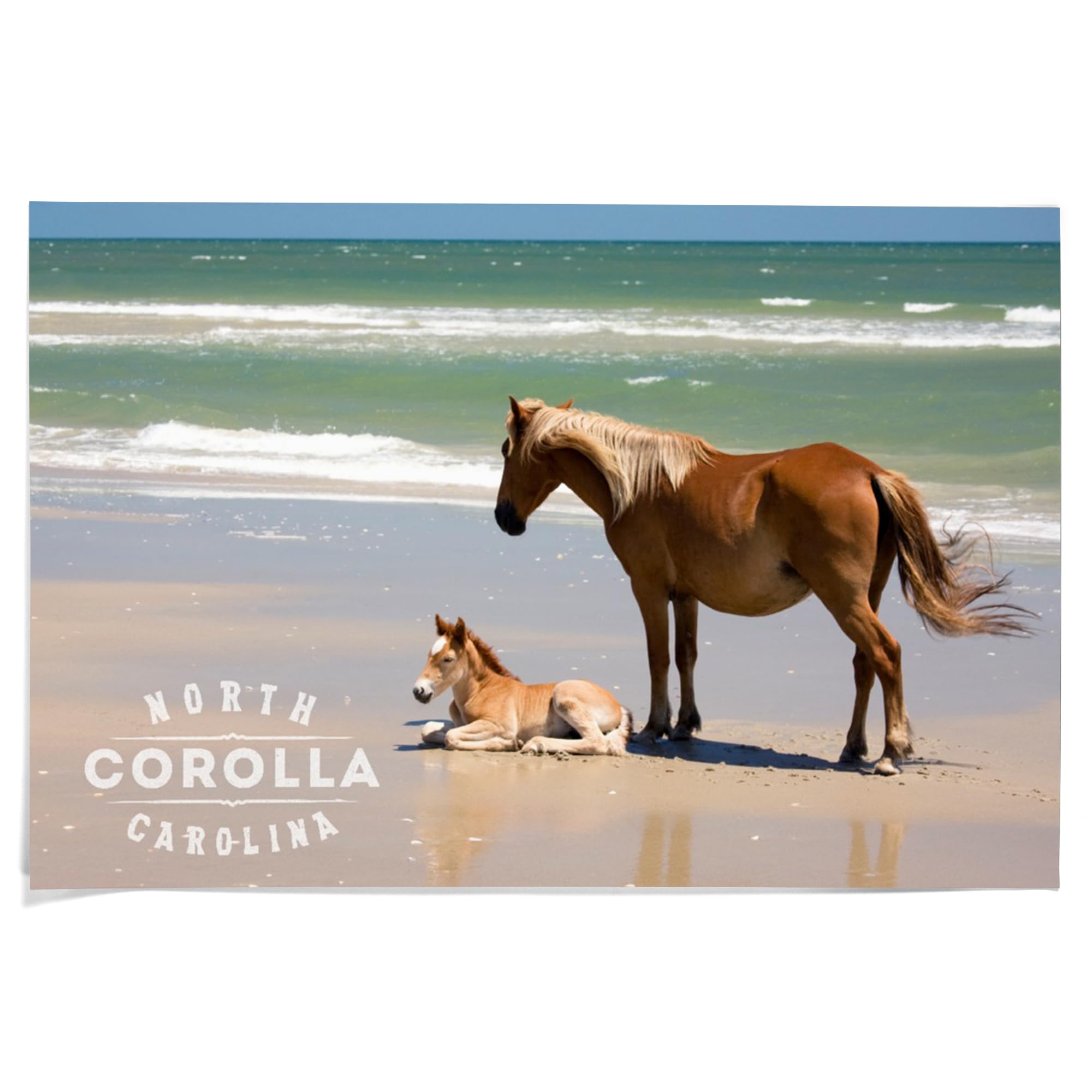 Lantern Press 36x54 Inch Giclee Art Print - Corolla Wild Horses on Beach Wall Decor | Banker Pony & Foal Coastal Art | Perfect for Living Room, Bedroom & Office Decor