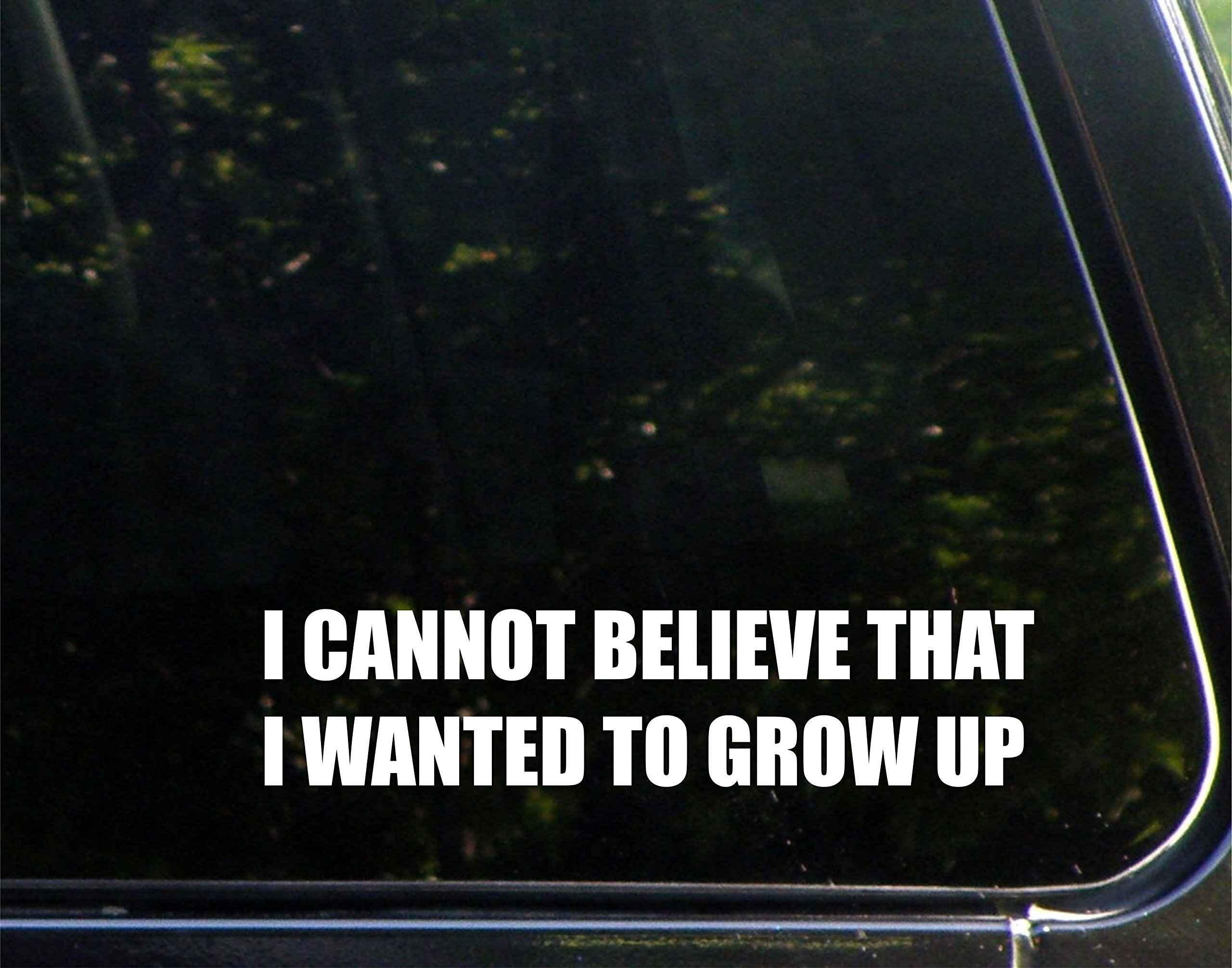 I Can't Believe I Wanted To Grow Up