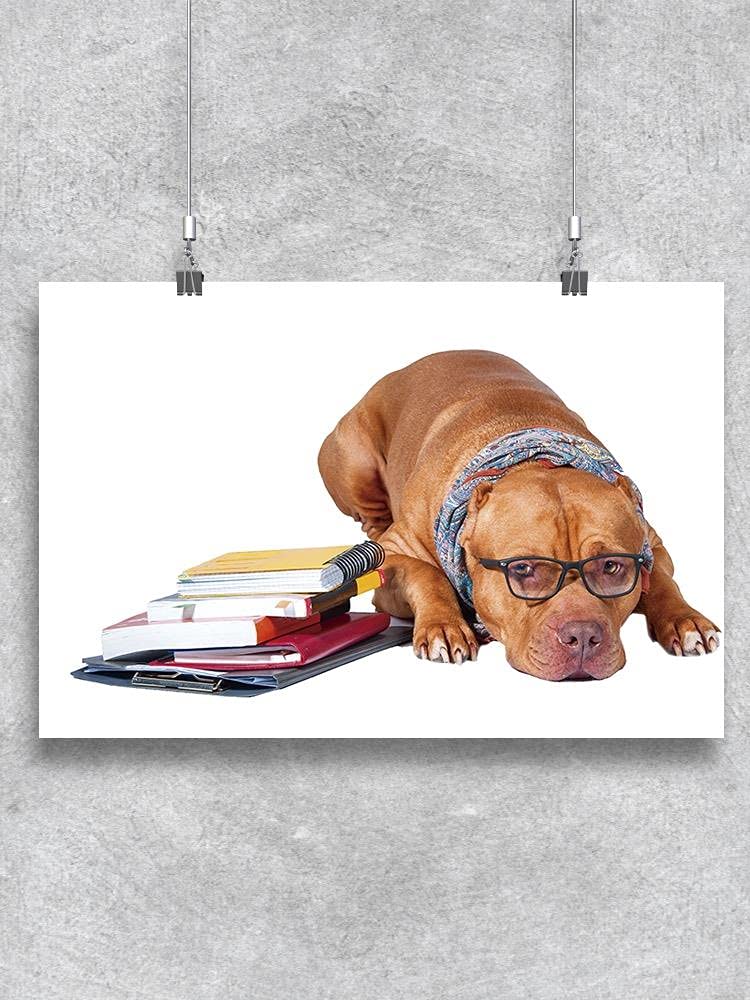 Quiet Dog Poster - Calm and Relaxing Wall Art for Pet Lovers - Perfect for Home, Office, or Veterinary Clinic Decor