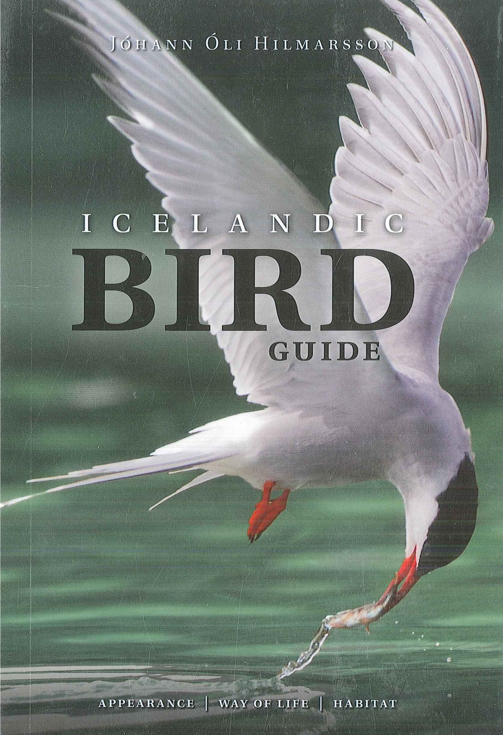Icelandic Bird Guide: Species, Behavior & Habitat | Birdwatching & Nature Exploration in Iceland