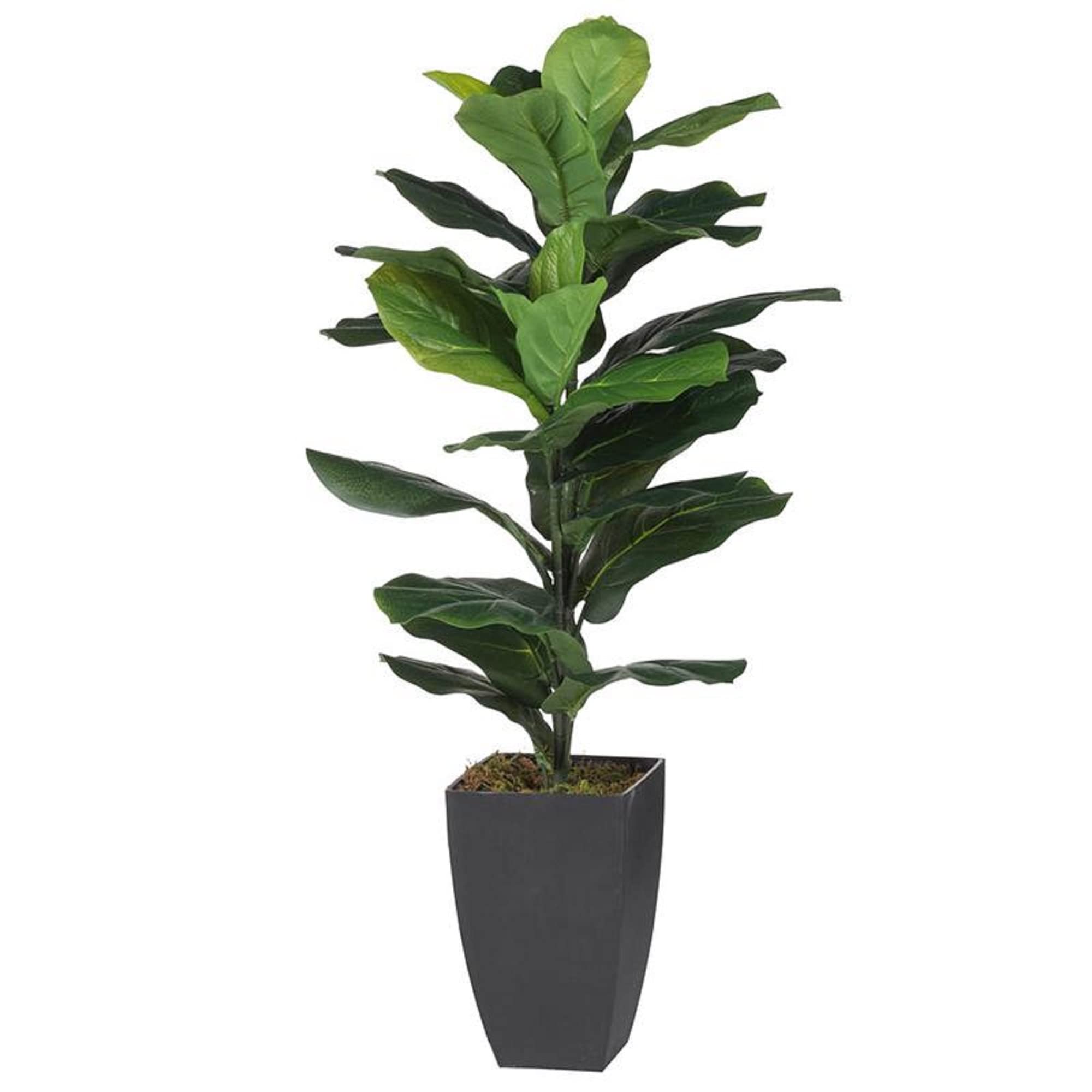 A&B Home 29877 Artificial Potted Fiddle-Leaf Fig Plant - 24