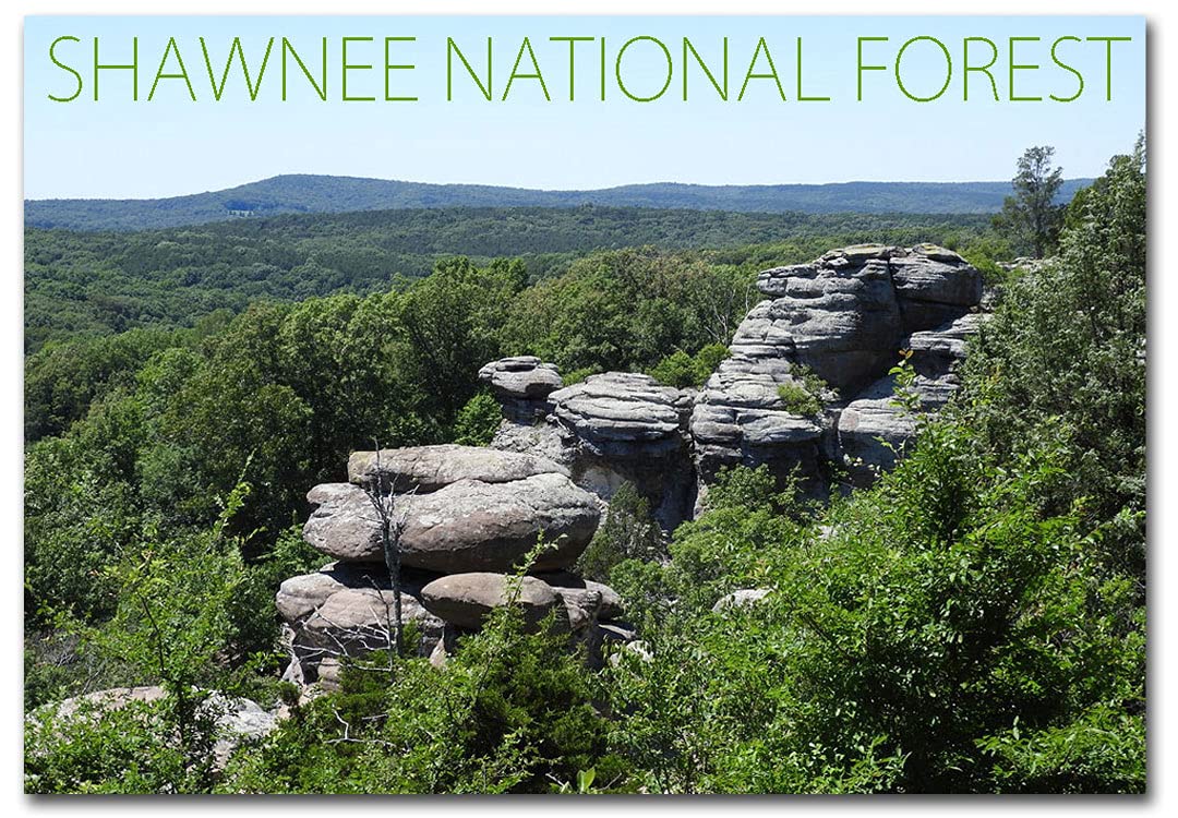 Garden of The Gods Shawnee National Forest Souvenir Fridge Magnet - 2.5