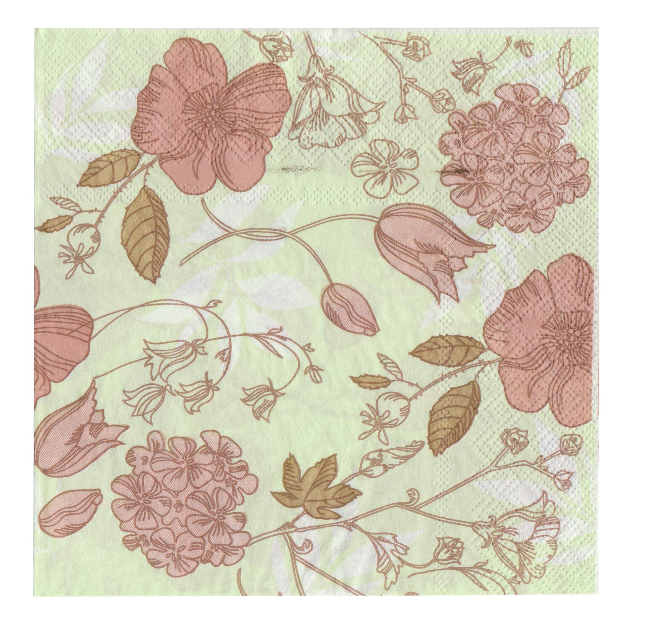 60-Count Salome Idea Floral Napkins for Shower, Tea Party, Birthday & Wedding - Romantic Design (Style: Romantic Floral 27) - Perfect for Bridal Showers, Baby Showers & Special Occasions
