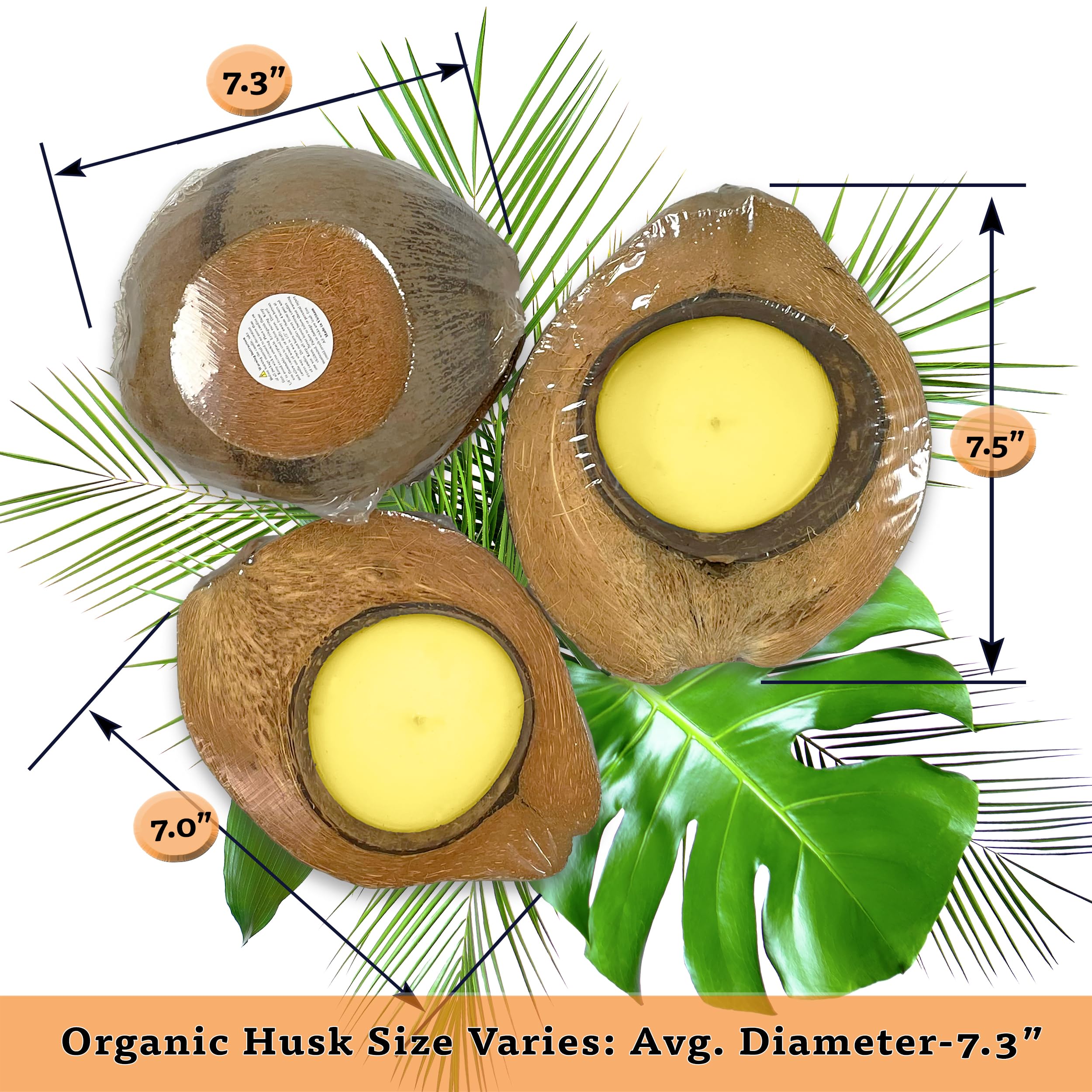 CK Organic Coconut Husk Scented Citronella Candle - 100% Soy Wax with Cotton Wick for Clean Burning | Home Décor, Mosquito Repellent & Relaxing Gift for Outdoor Patio, Garden & Indoor Spaces
