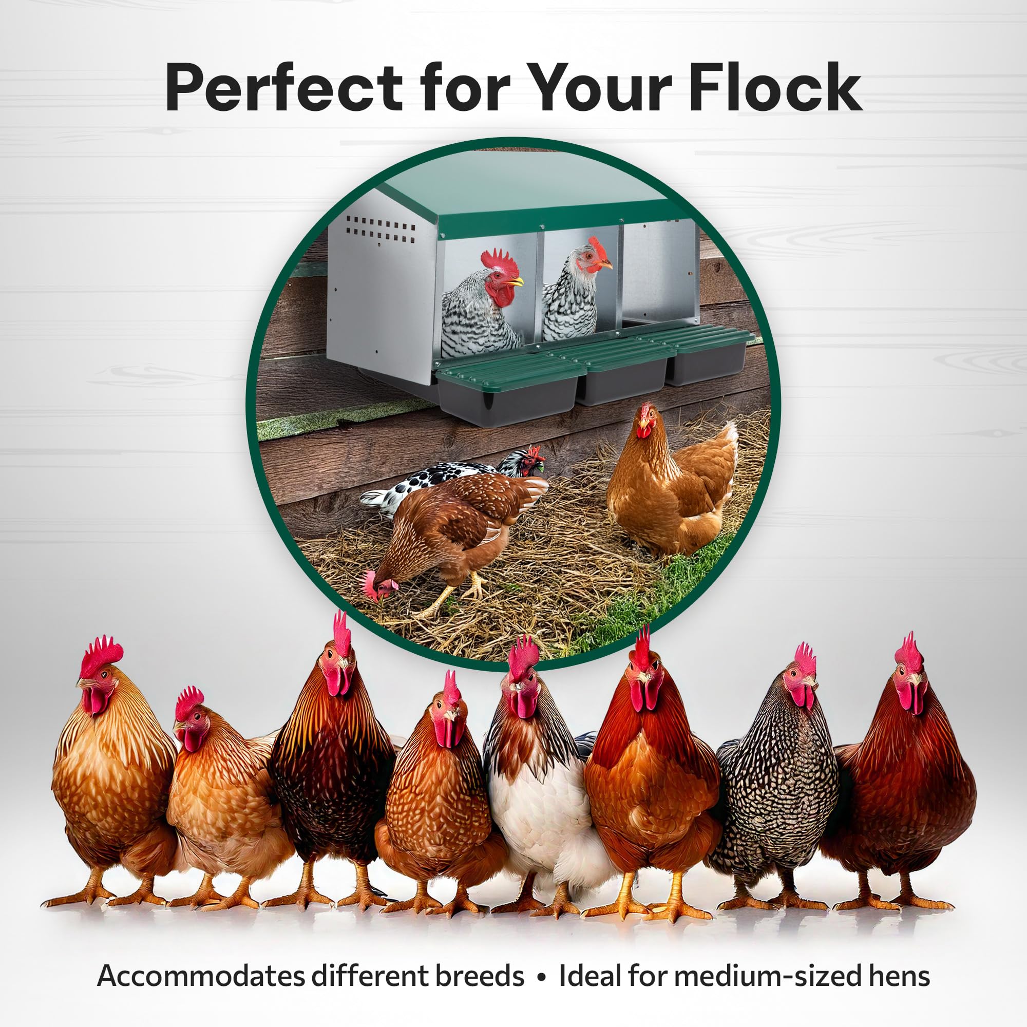 3 Compartment Hen & Chicken Nesting Box with Rollout Rollaway Design & Protective Egg Collection Lids - Perfect for Backyard Coops, Poultry Farms & Egg Laying Stations
