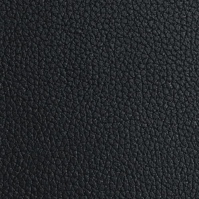 Black Leather