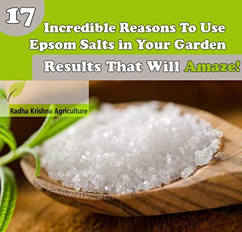 1Kg Epsom Salt for Plants - Magnesium Sulfate Fertilizer for Garden, Lawn & Houseplants | Promotes Growth & Greenery | Organic Gardening Essential
