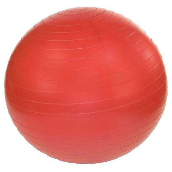 Anti-Burst 18 Inch Gym Ball - Heavy Duty Exercise Ball for Yoga, Pilates, Core Workouts & Home Fitness Training | Perfect for Stability Exercises, Physical Therapy & Office Chair Replacement