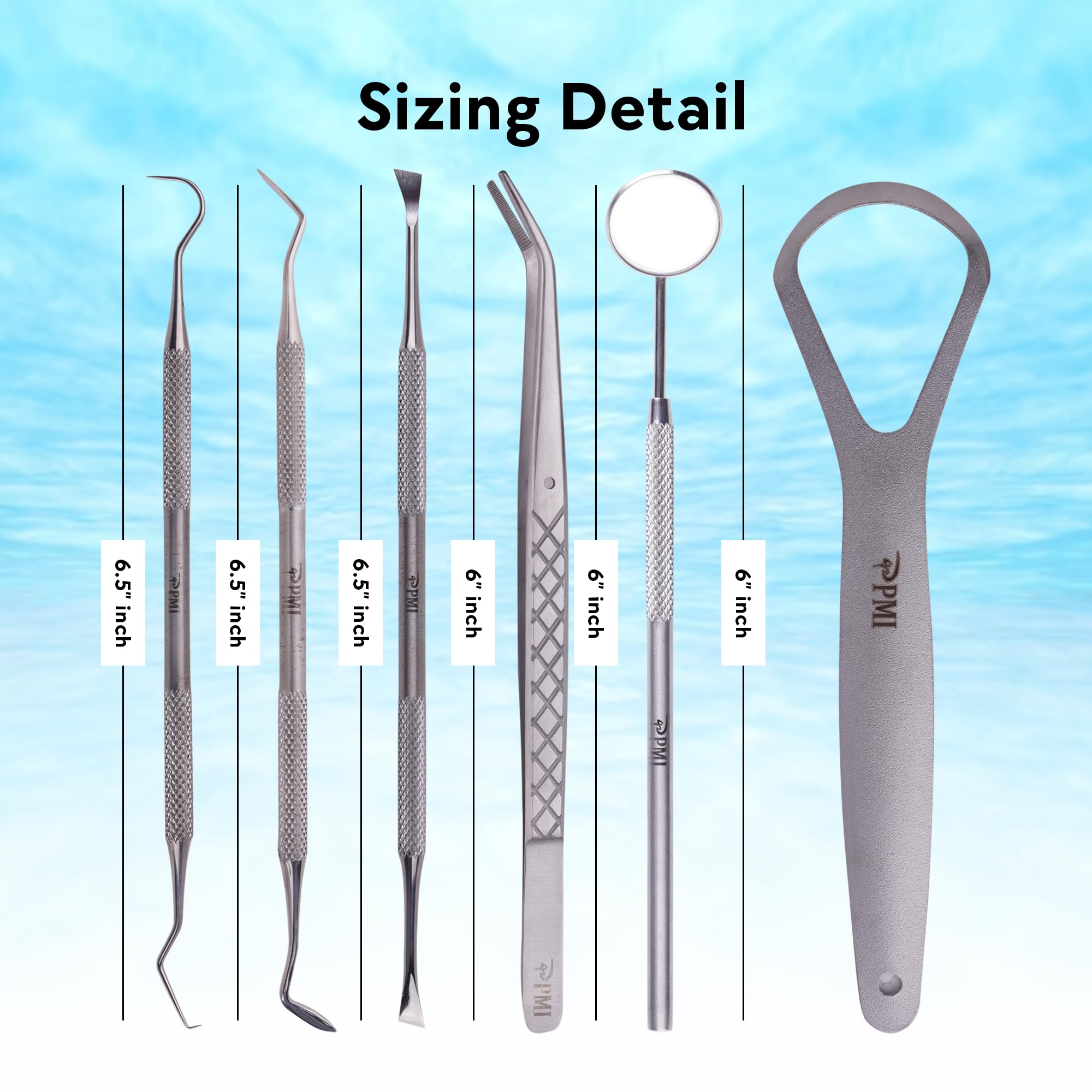 Professional Stainless Steel Dental Tools Kit - 6 PCS Teeth Cleaning Set with Plaque Remover, Dental Pick & Tooth Scraper | Oral Hygiene Care for Dentists & Home Use | Perfect for Travel & Daily Dental Maintenance