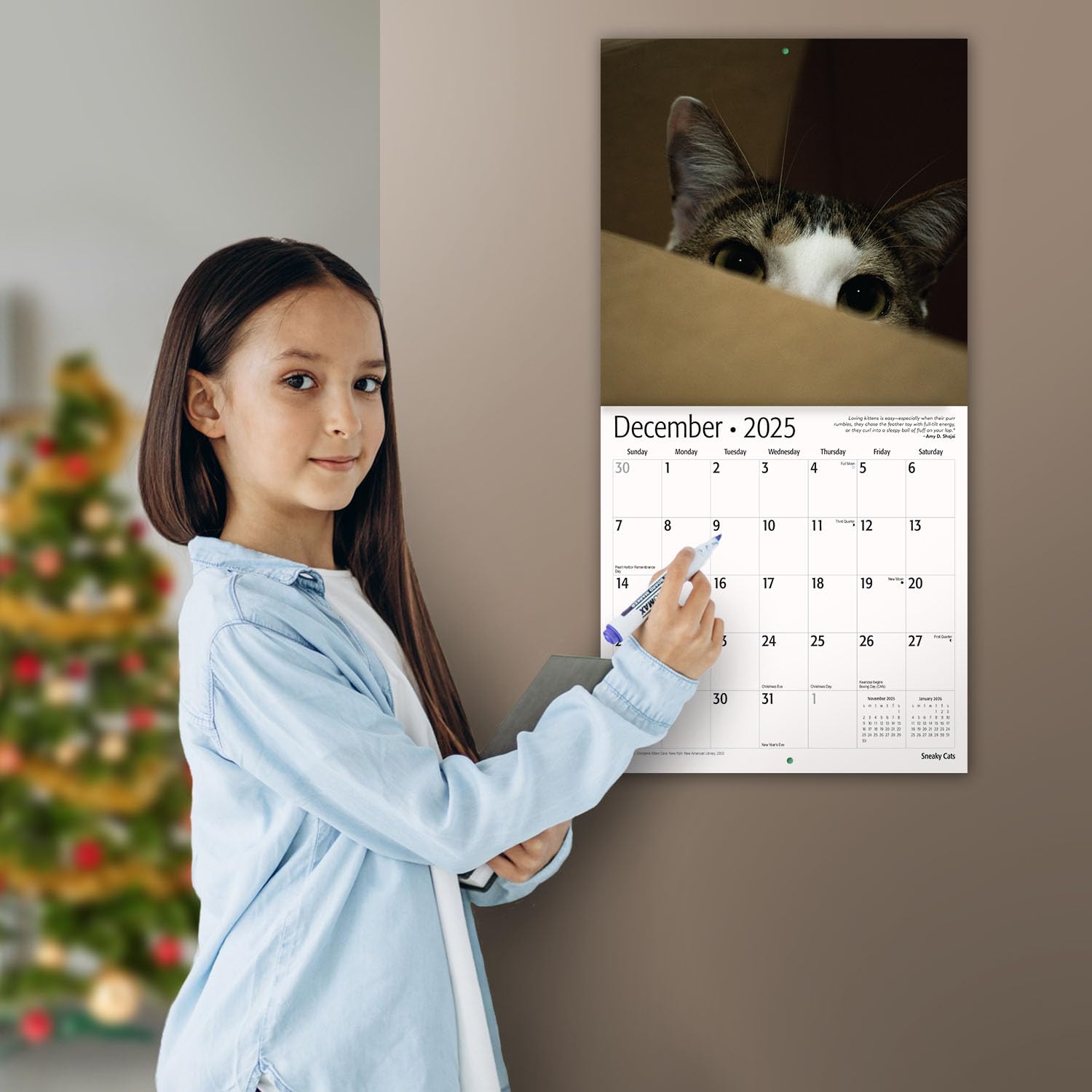 MICASA Sneaky Cats 2025 Wall Calendar - 12 Month Funny Cat Calendar (12
