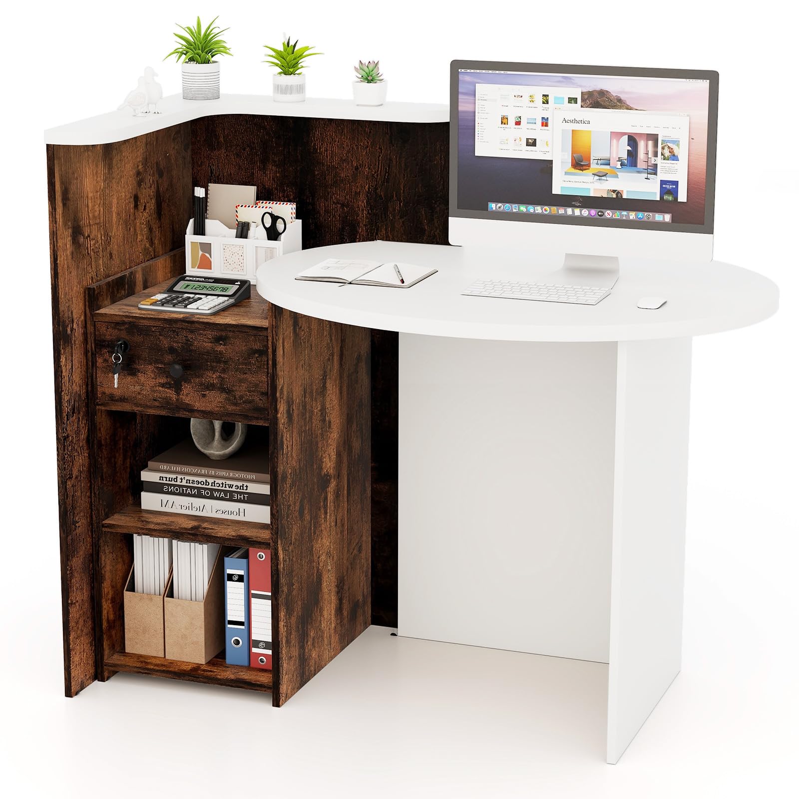 Wooden Reception Desk with Lockable Drawer & Open Shelves - Small Retail Checkout Counter for Store, Office, Lobby or Salon - Oval Desktop & L-Shaped Design in White & Brown - Perfect for Customer Service Areas, Waiting Rooms & Business Front Desks