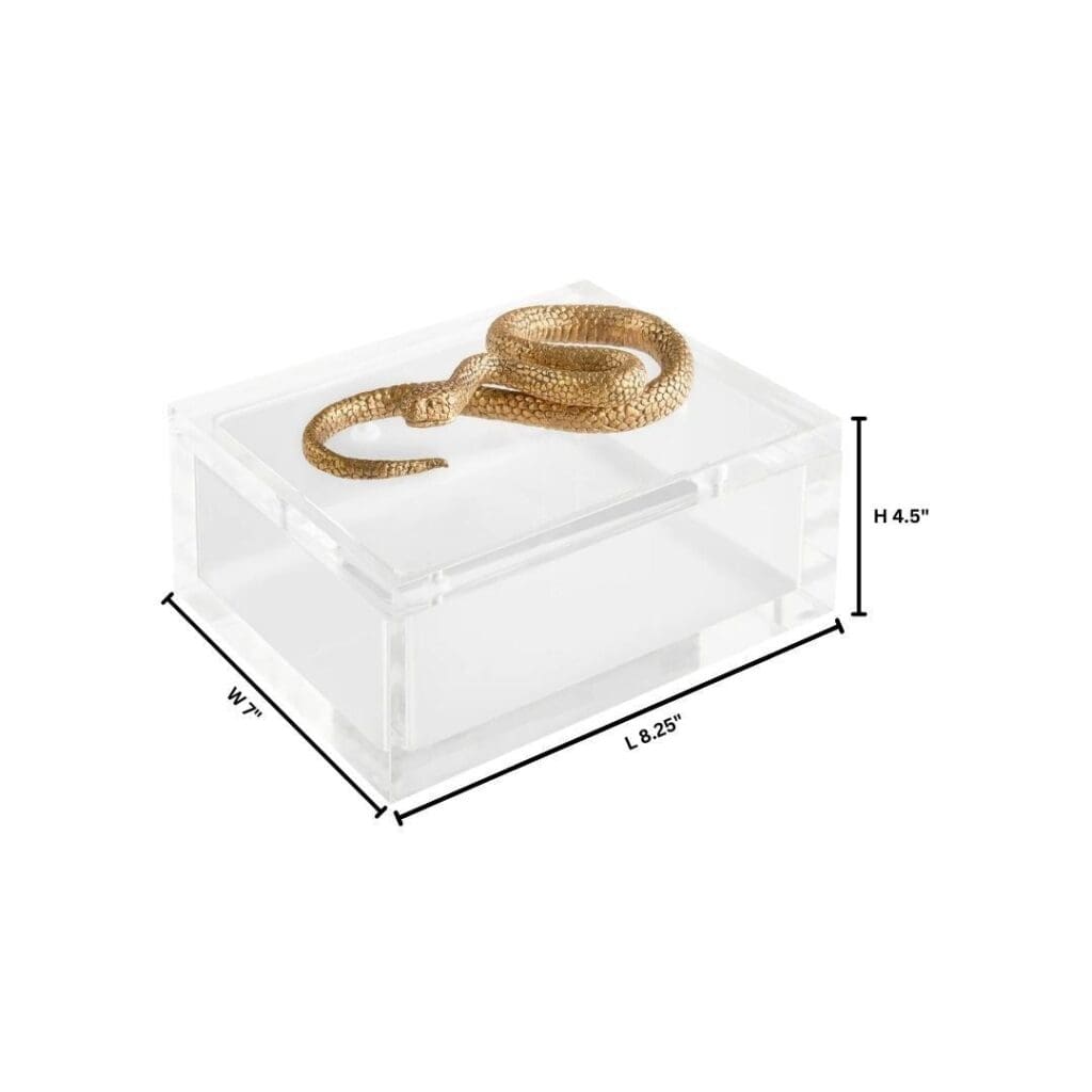 Cyan Design 11763 Snake Box - Clear Glass & Brass Jewelry Storage - Perfect for Rings, Earrings & Small Accessories Organization
