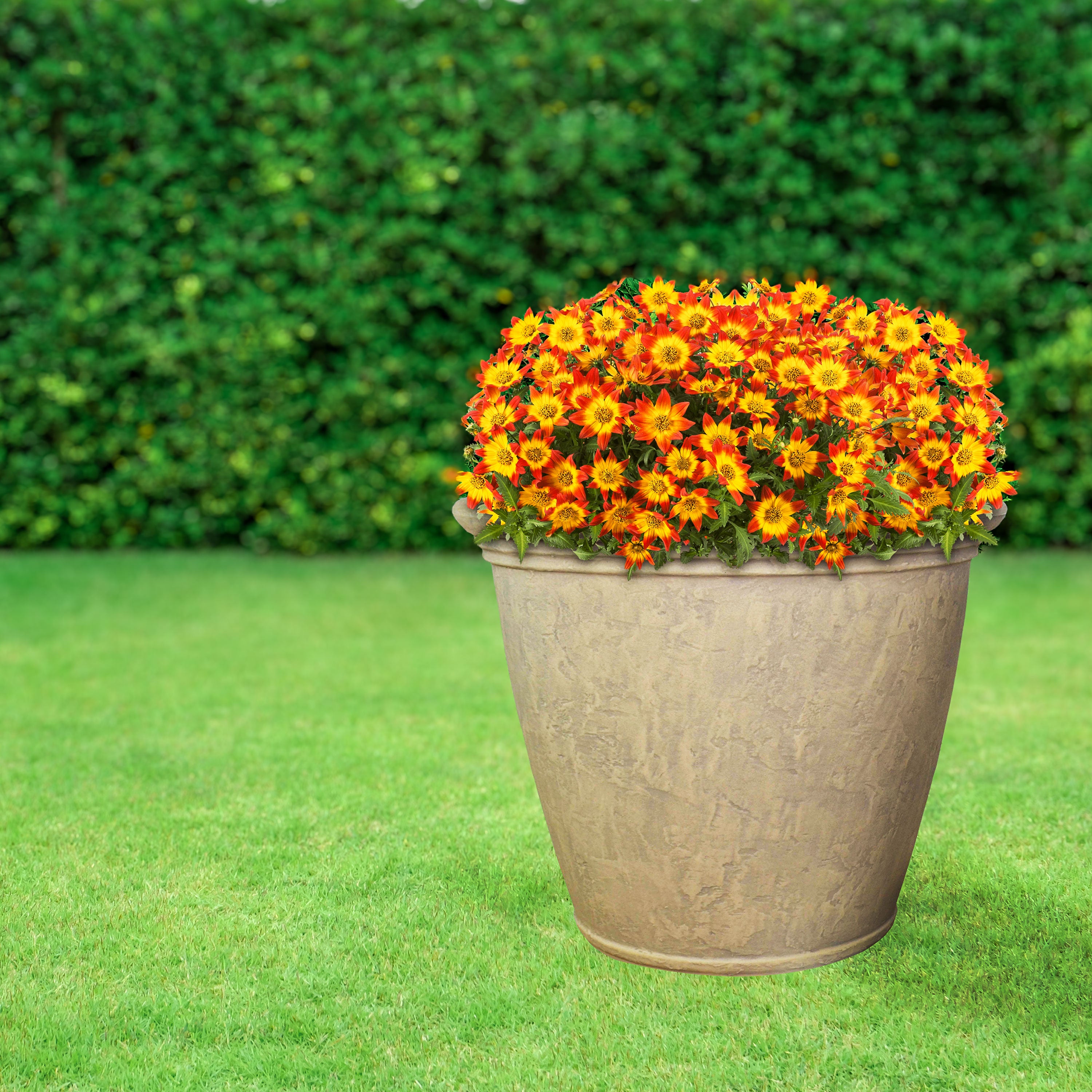 Sunnydaze Anjelica Polyresin Outdoor Flowerpot Planter - Durable Garden Decor for Patio, Balcony & Yard - Perfect for Flowers, Plants & Home Landscaping