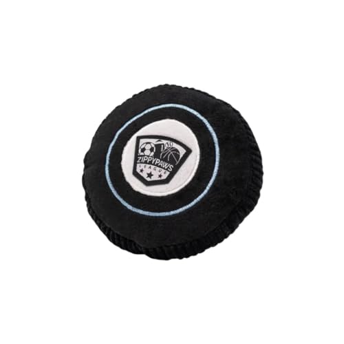 Hockey Puck