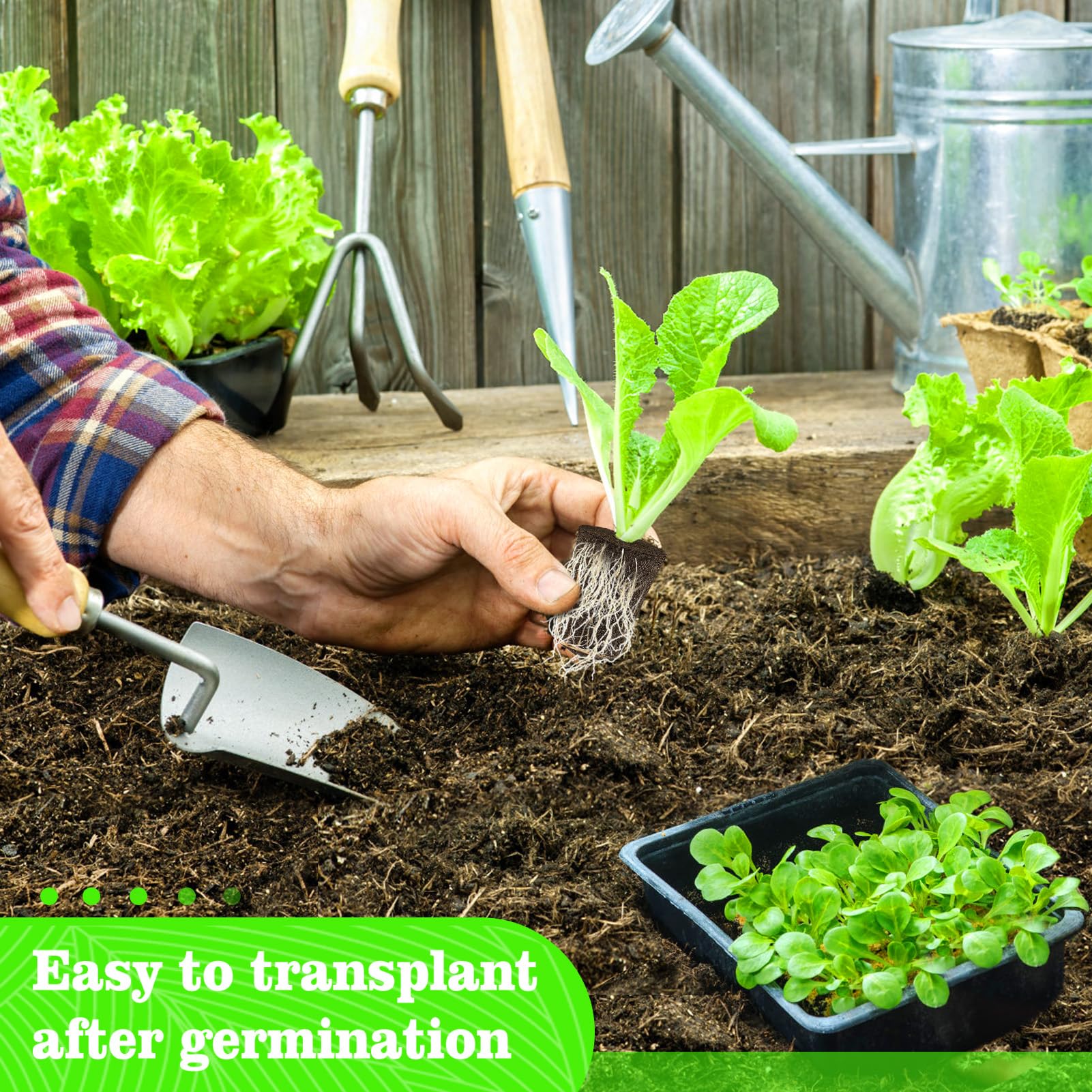 50 Pcs Rooting Sponges for Plants - Seed Starter Plugs for Seedlings & Cuttings, Rapid Rooting in Soil/Tray/Pods, Promotes Herb Vegetable Flower Growth - Ideal for Hydroponics, Indoor Gardening & Greenhouse Planting